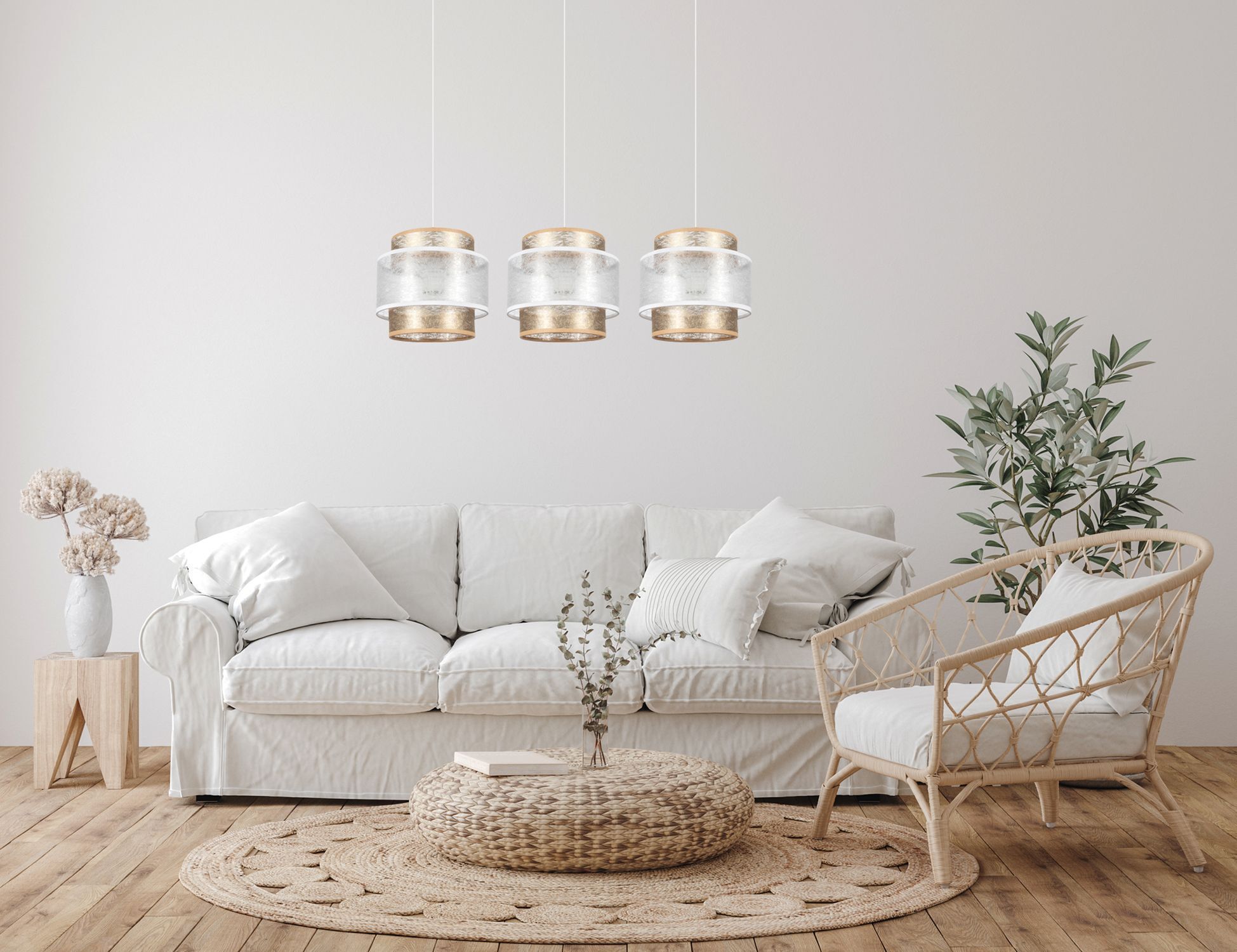 sofa, wohnzimmer, kaffetisch, teppich, pflanzen