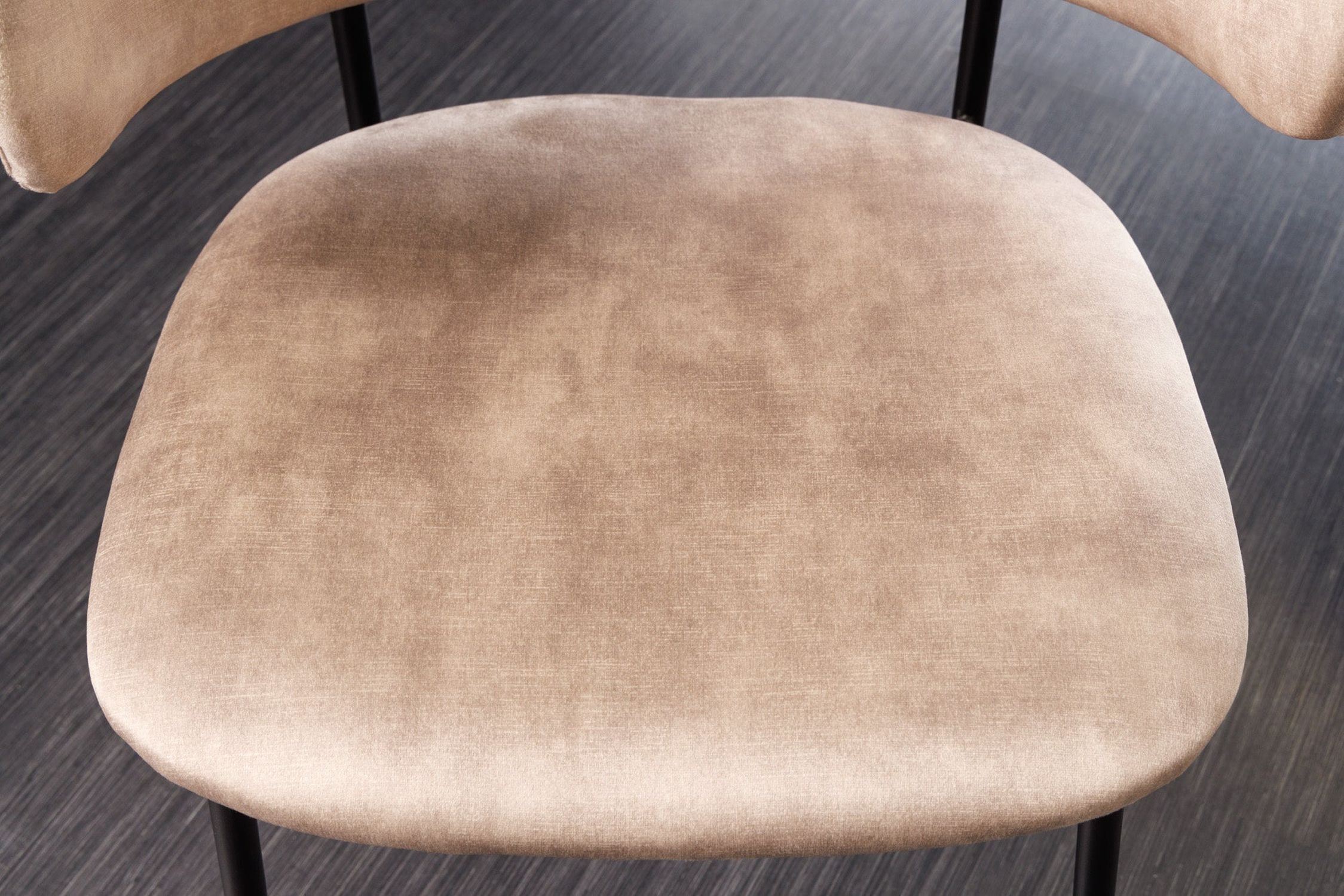 Chaise de salle à manger velours métal crème beige noir NOAH Moebel, Kissen, Dekoration für Zuhause, Stuhl