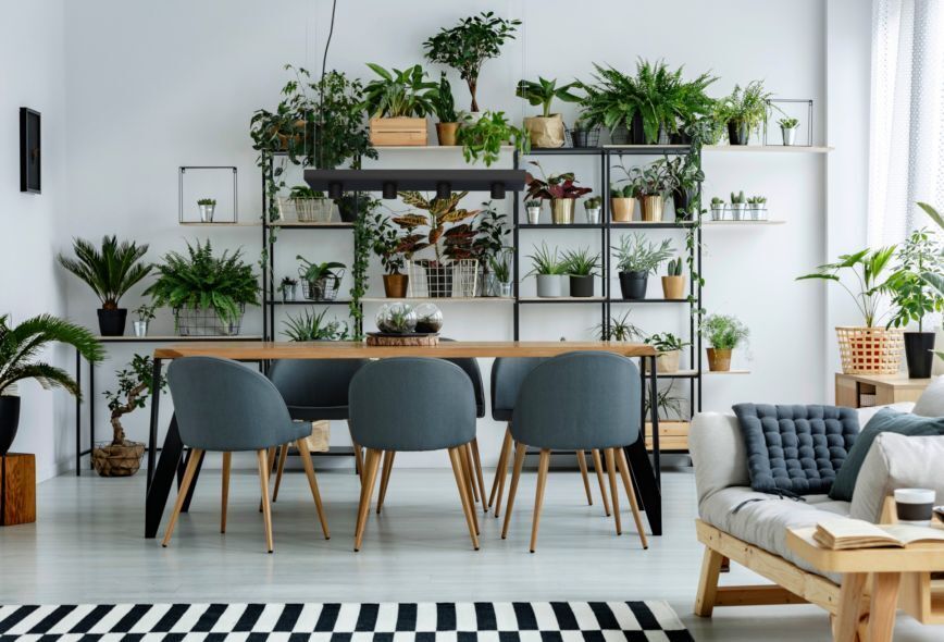 Hängelampe Schwarz Metall Plant Esszimmer, Esstisch, Tisch, Dekoration für Zuhause, Innenarchitektur