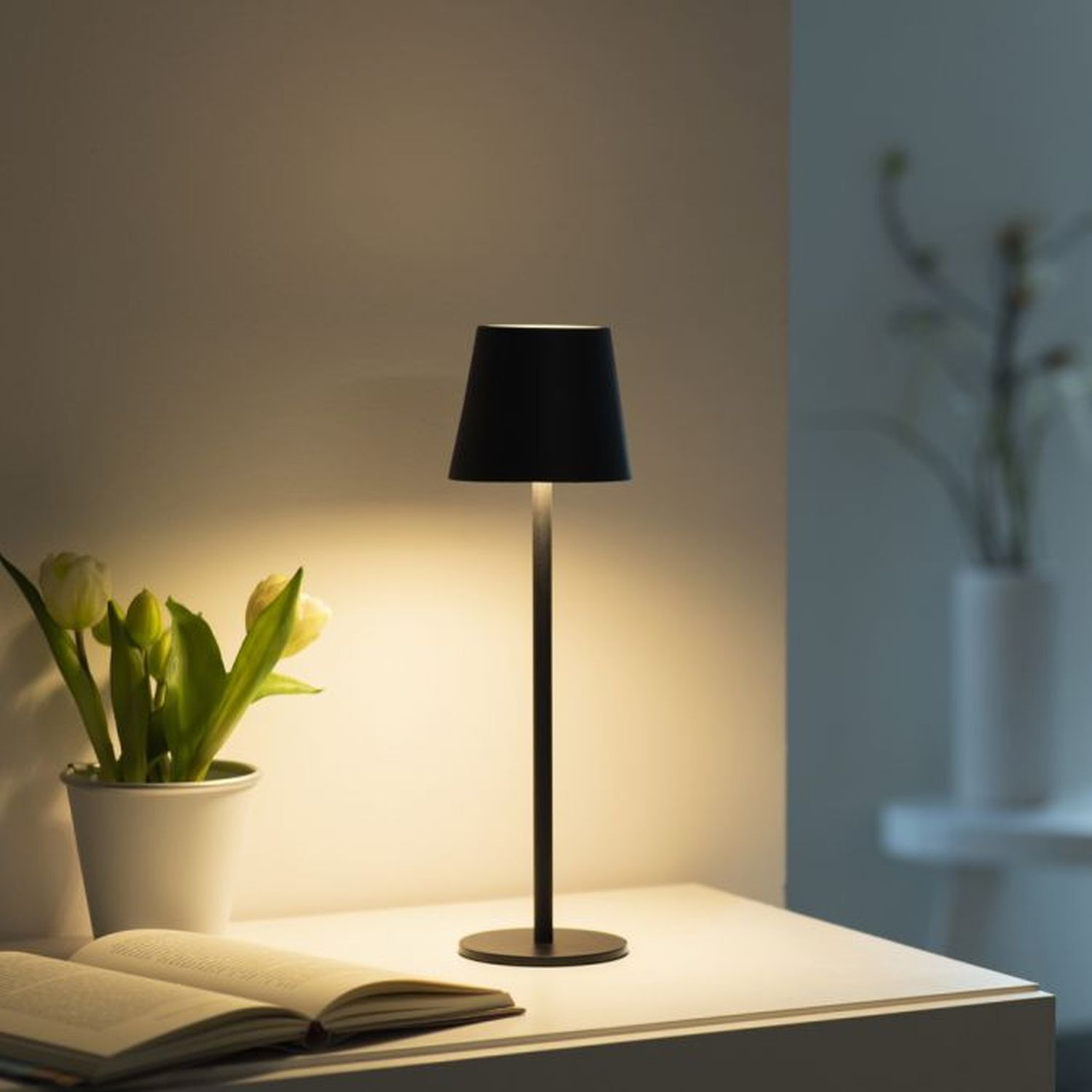 Lampe, Pflanze