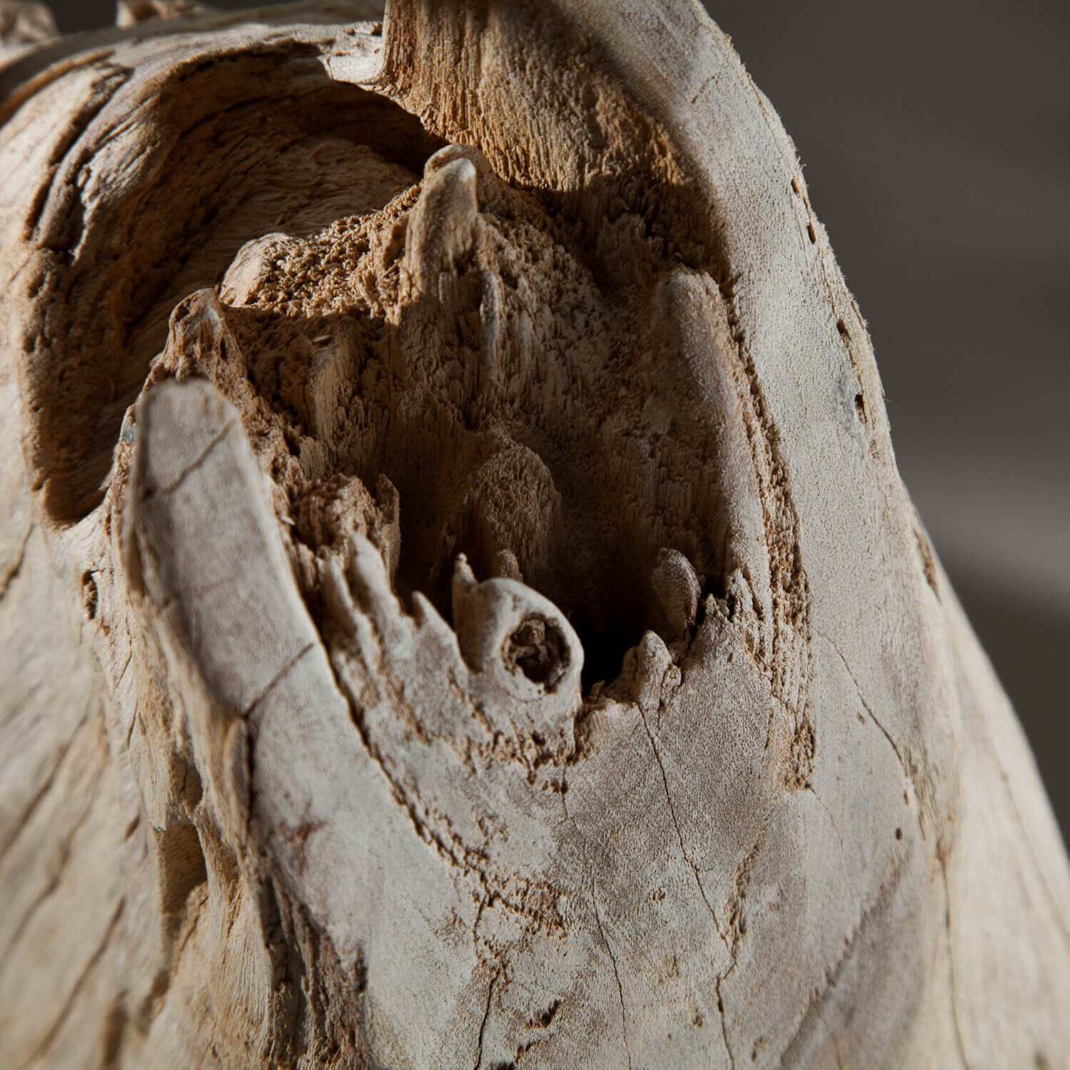 Stehlampe 175cm Modern individuell Treibholz Holz, Loch