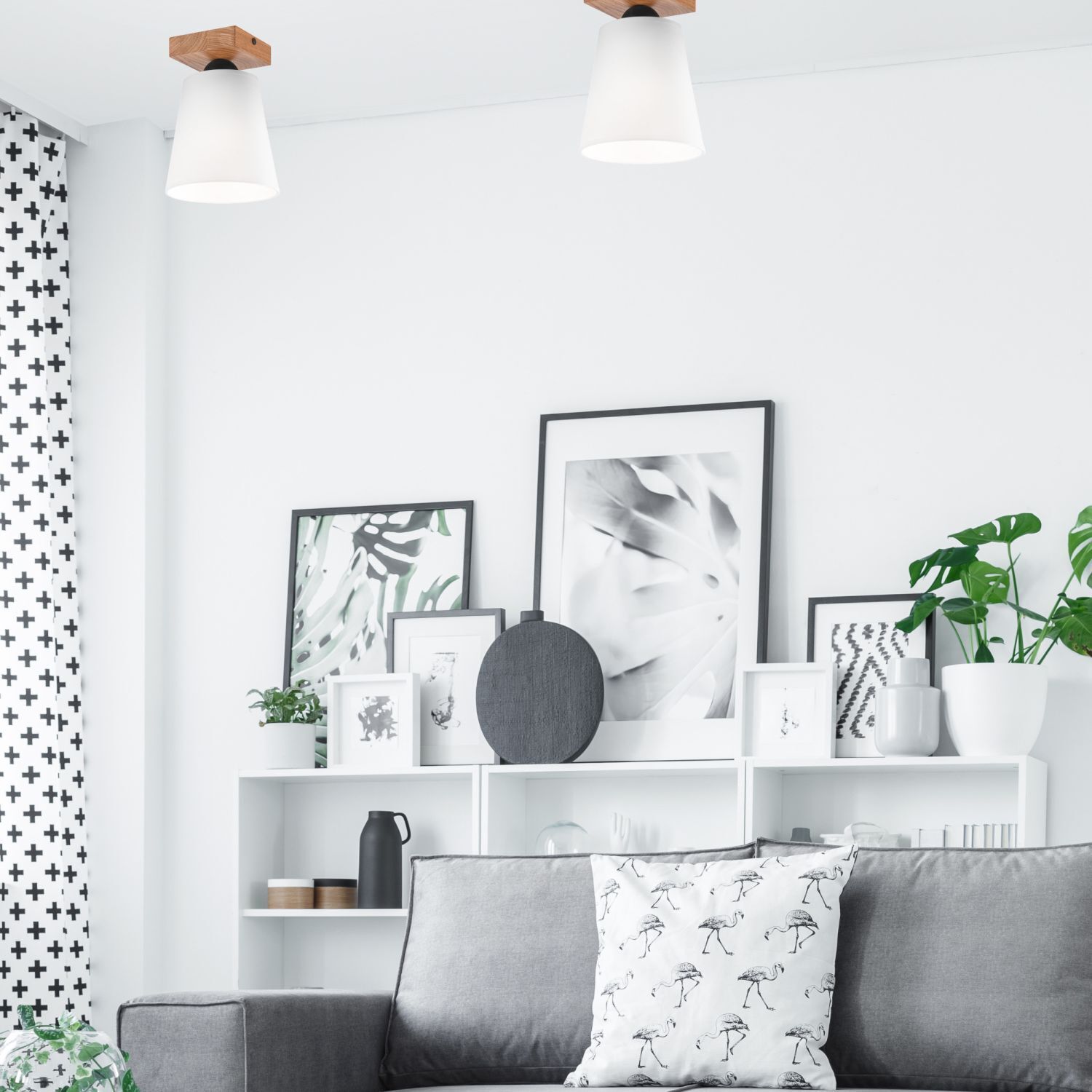 Innenarchitektur, Inneneinrichtung, Wohnzimmer, Kissen, Pflanze