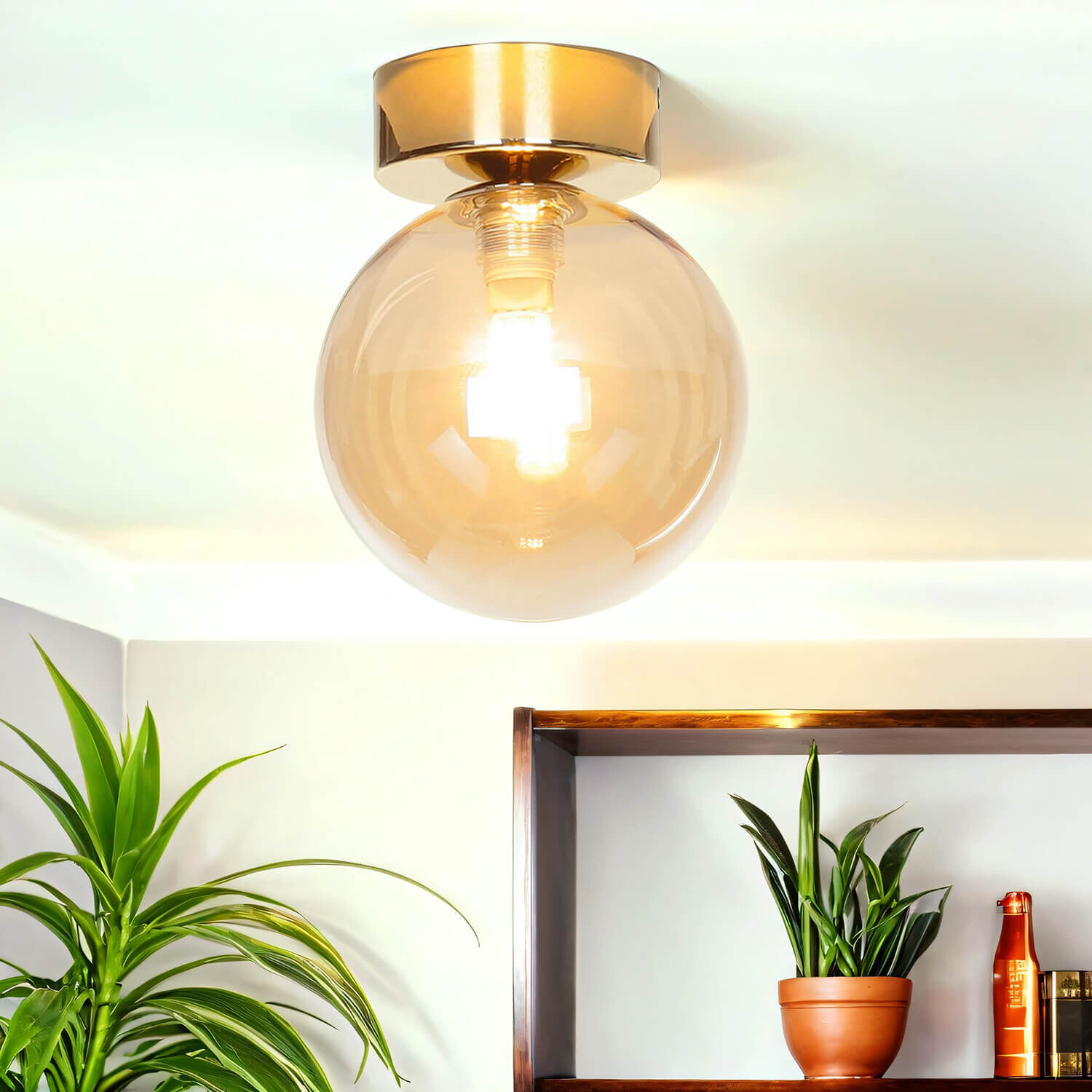 Leuchte, Deckenleuchte, Pflanze