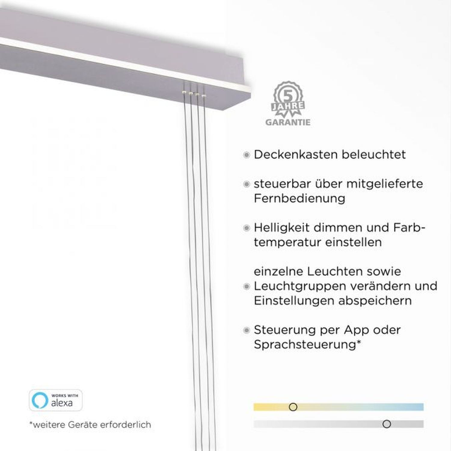 LED Hängelampe Glas in Stahl 2-flammig Fernbedienung Drinnen