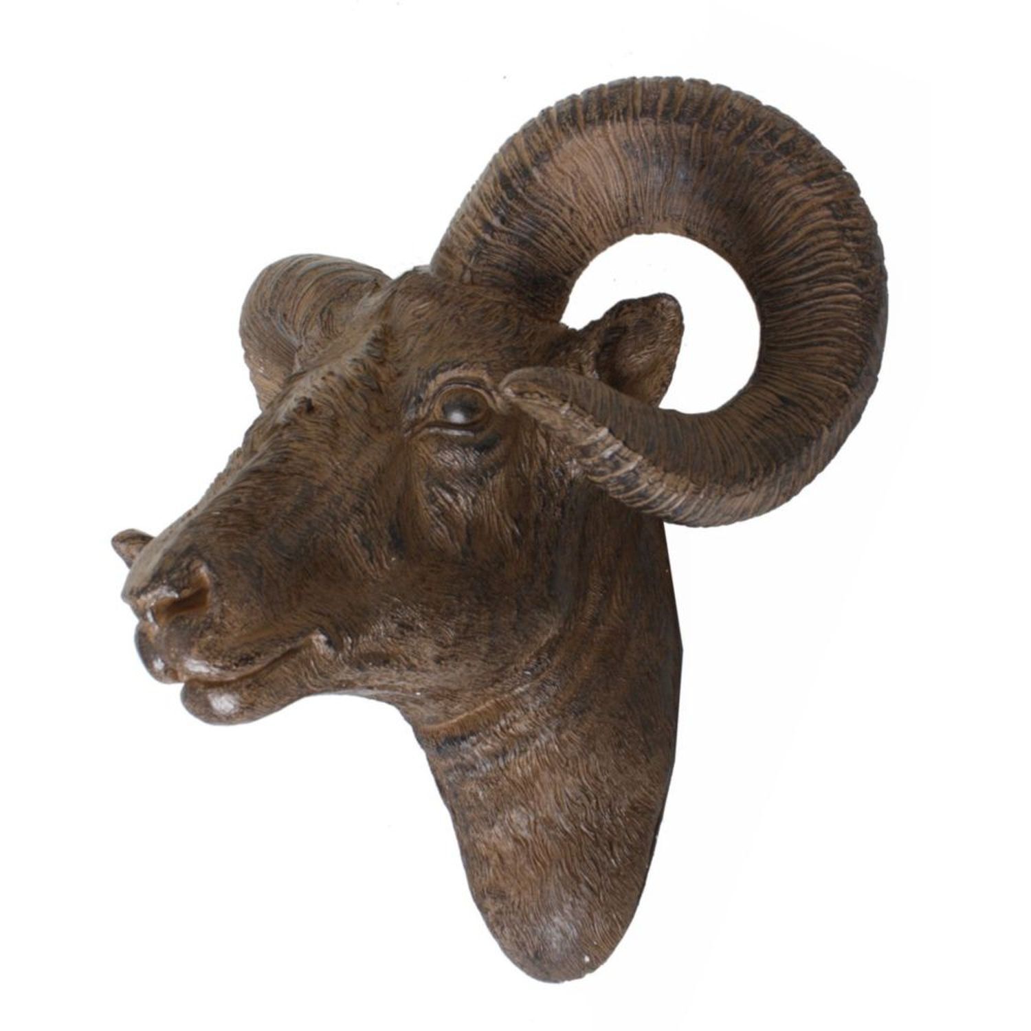 Büffel, Säugetier, Tierwelt, Vieh, Schaf