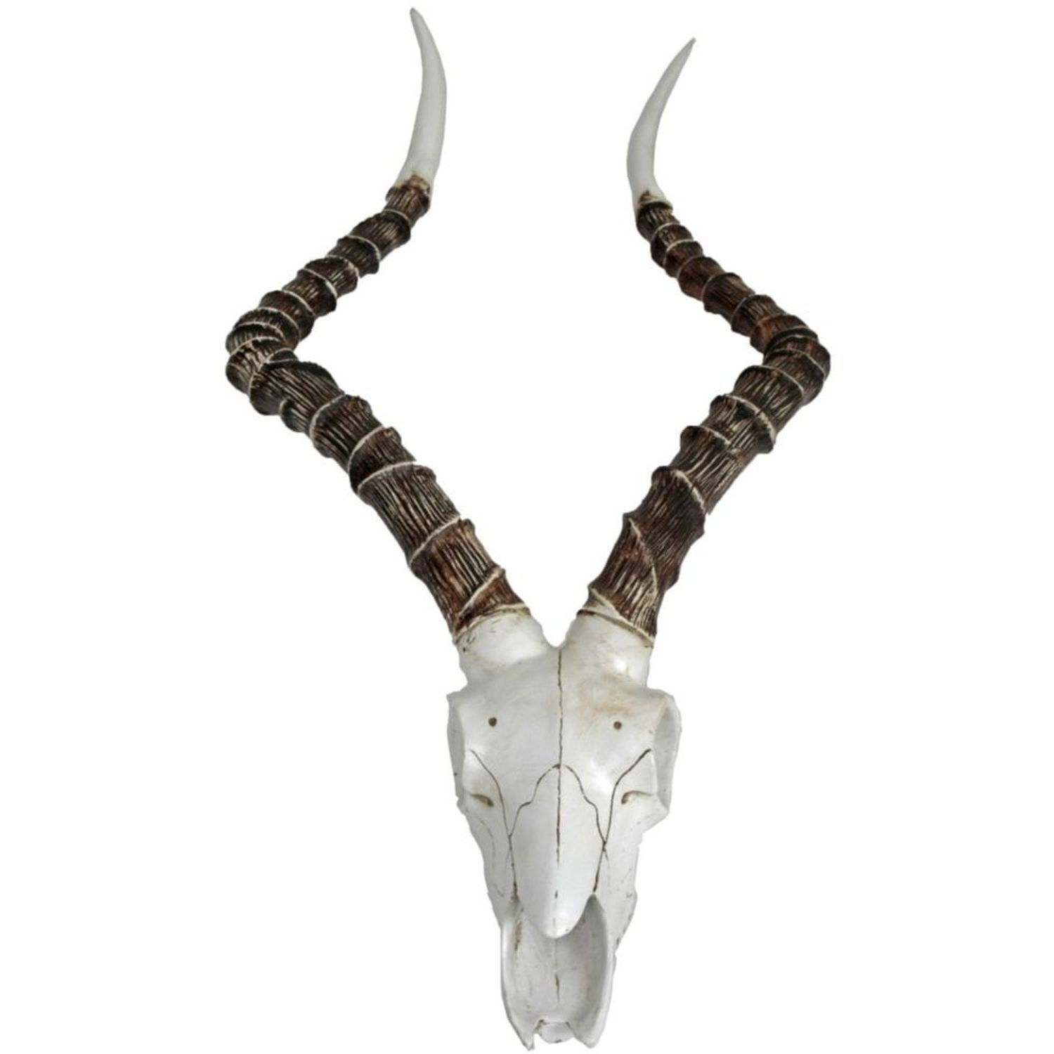 Deko Jagdtrophäe Tier Schädel H: 68 cm Polyresin künstlich Tier, Gazelle, Säugetier, Tierwelt, Halskette
