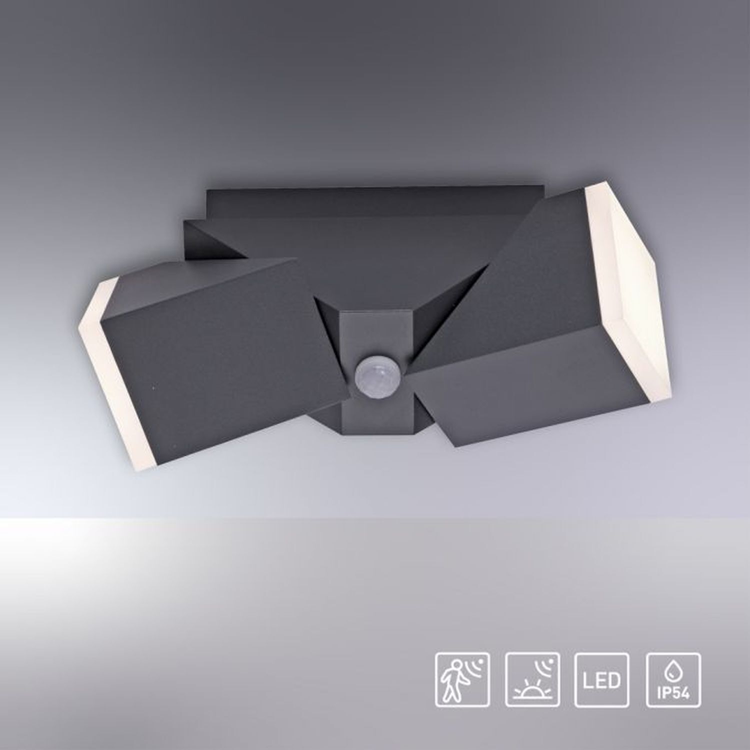 LED Außenleuchte Wand mit Bewegungsmelder IP54 Up Down Deckenleuchte