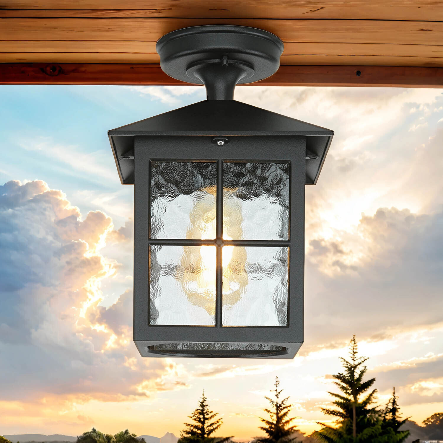 Kleine Deckenleuchte HAROLD außen Schwarz Rustikal Lampe, Pflanze, Baum