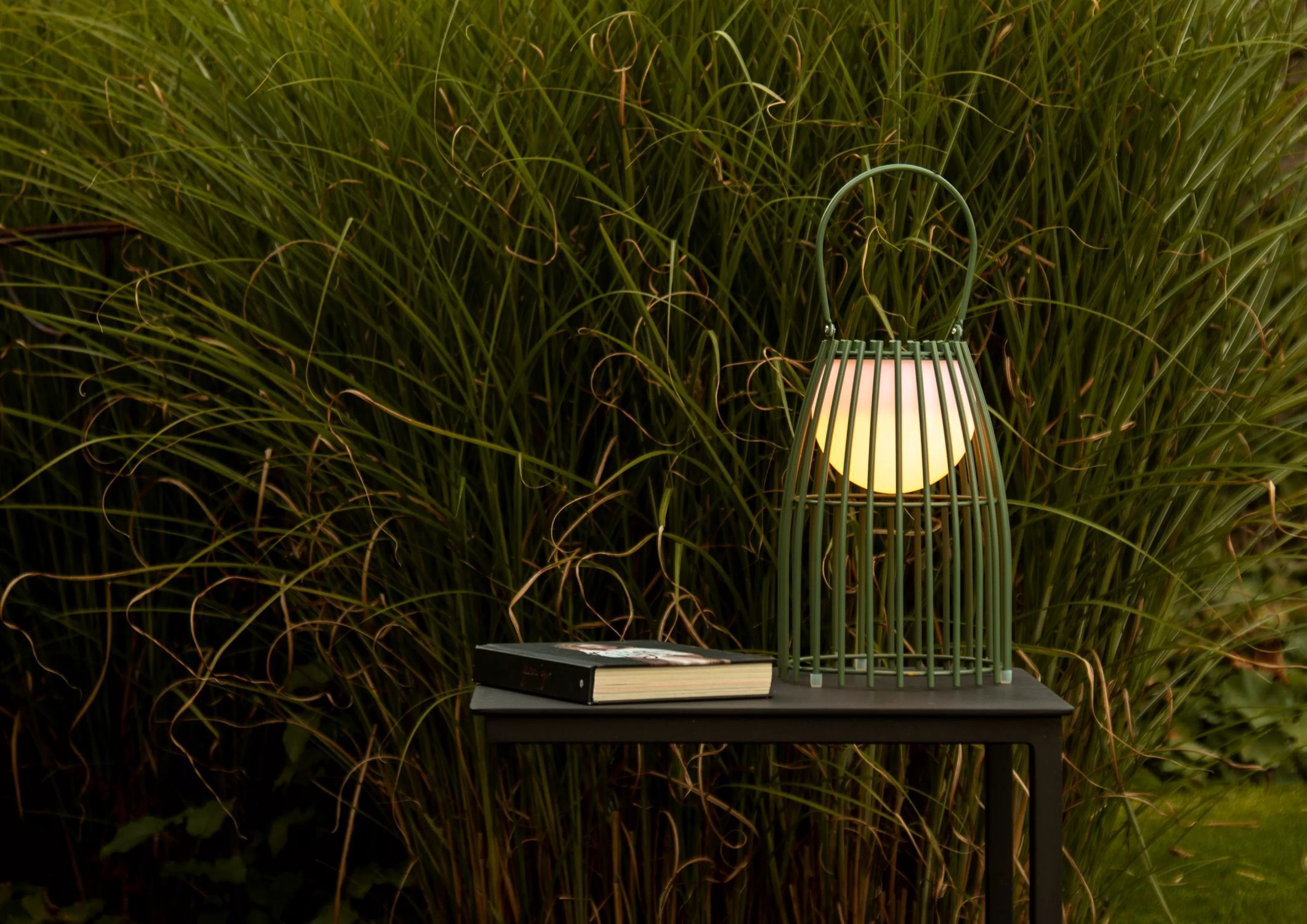 Lampe, Gras, Pflanze