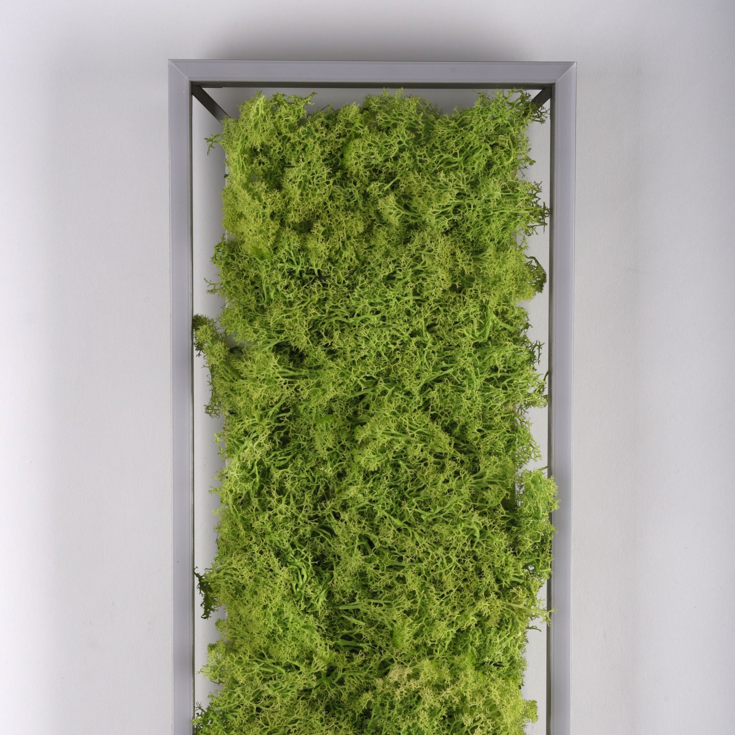 LED Deckenleuchte Moos L:100 cm 3000 K 3550 lm aus Moos Moos, Pflanze