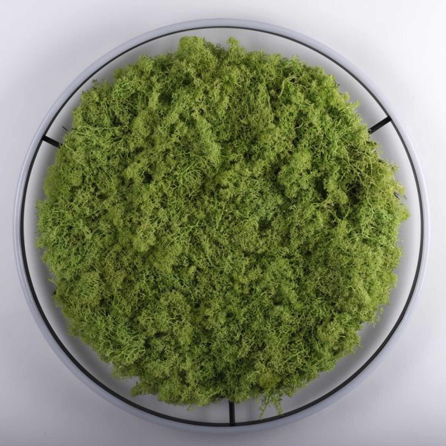 Dimmbare LED Deckenlampe Moos Schwarz 3000 K 28 W Moos, Pflanze, Puder, Teller