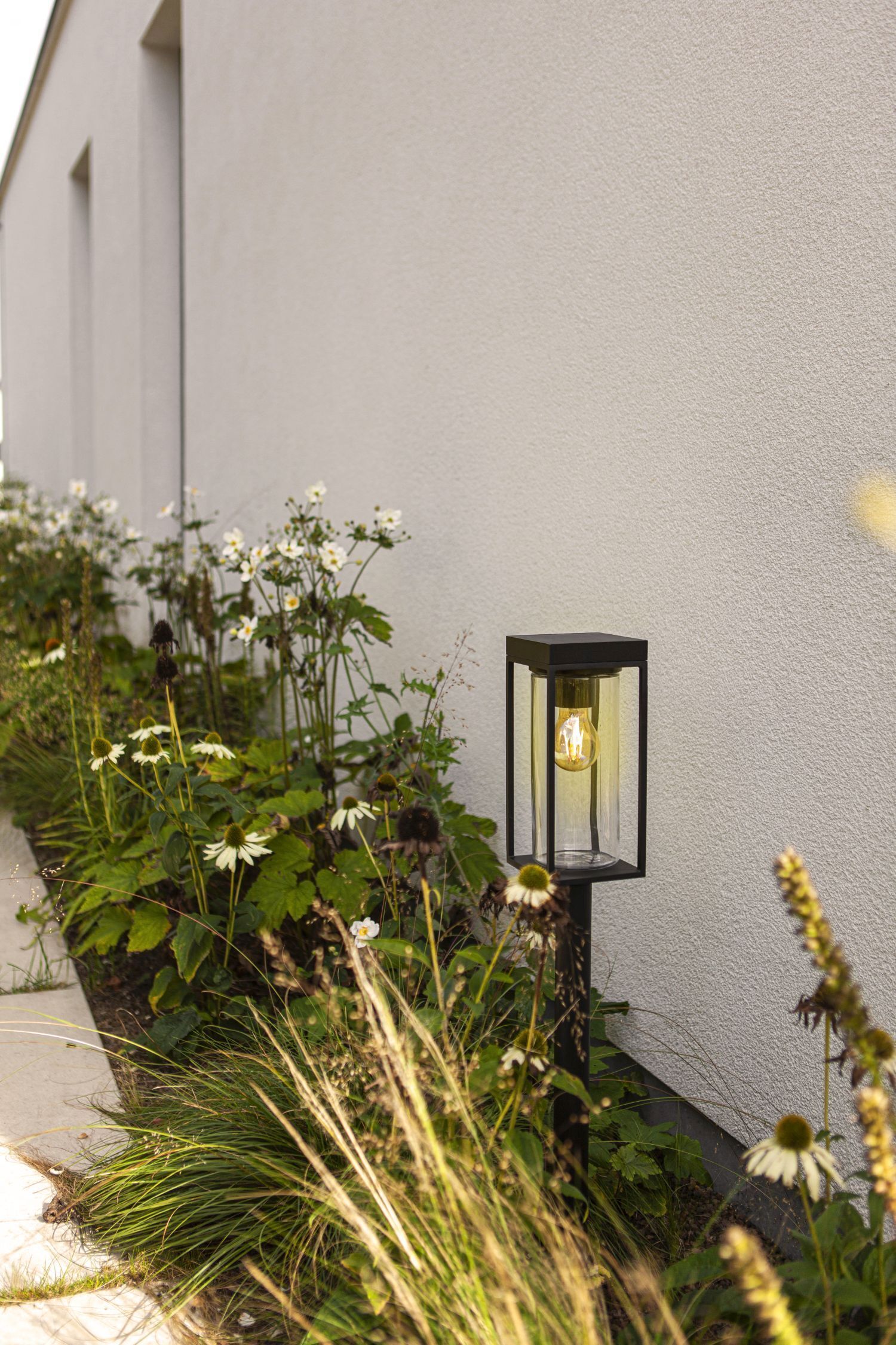 Mauer, Blume, Geranie, Lampe, Garten