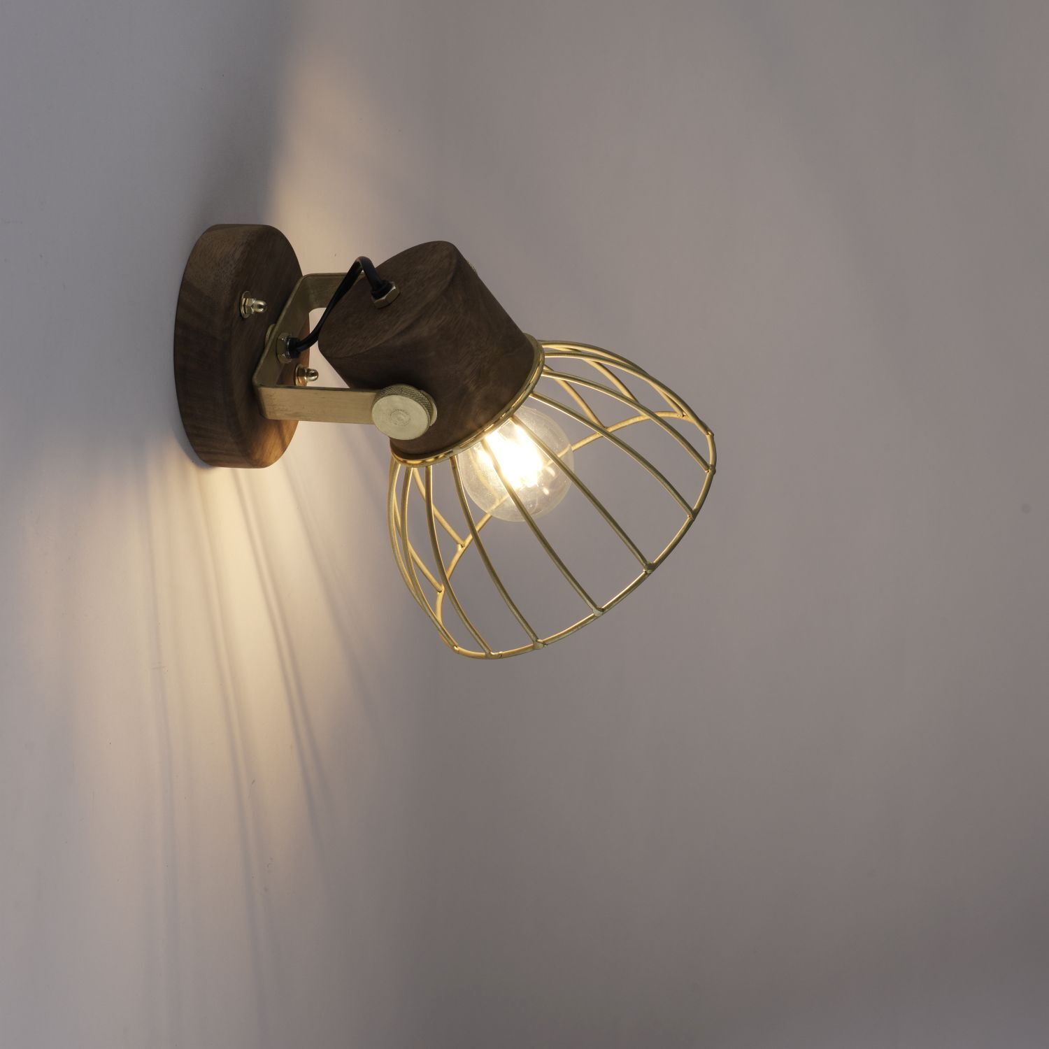 Beleuchtung, Leuchte