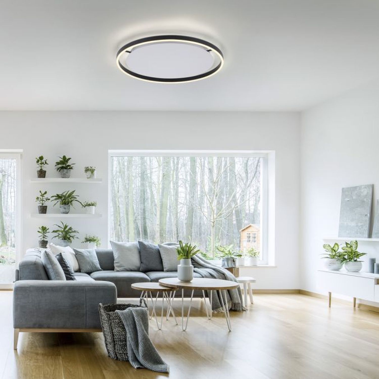 Dekoration für Zuhause, Couch, Mobiliar, Pflanze