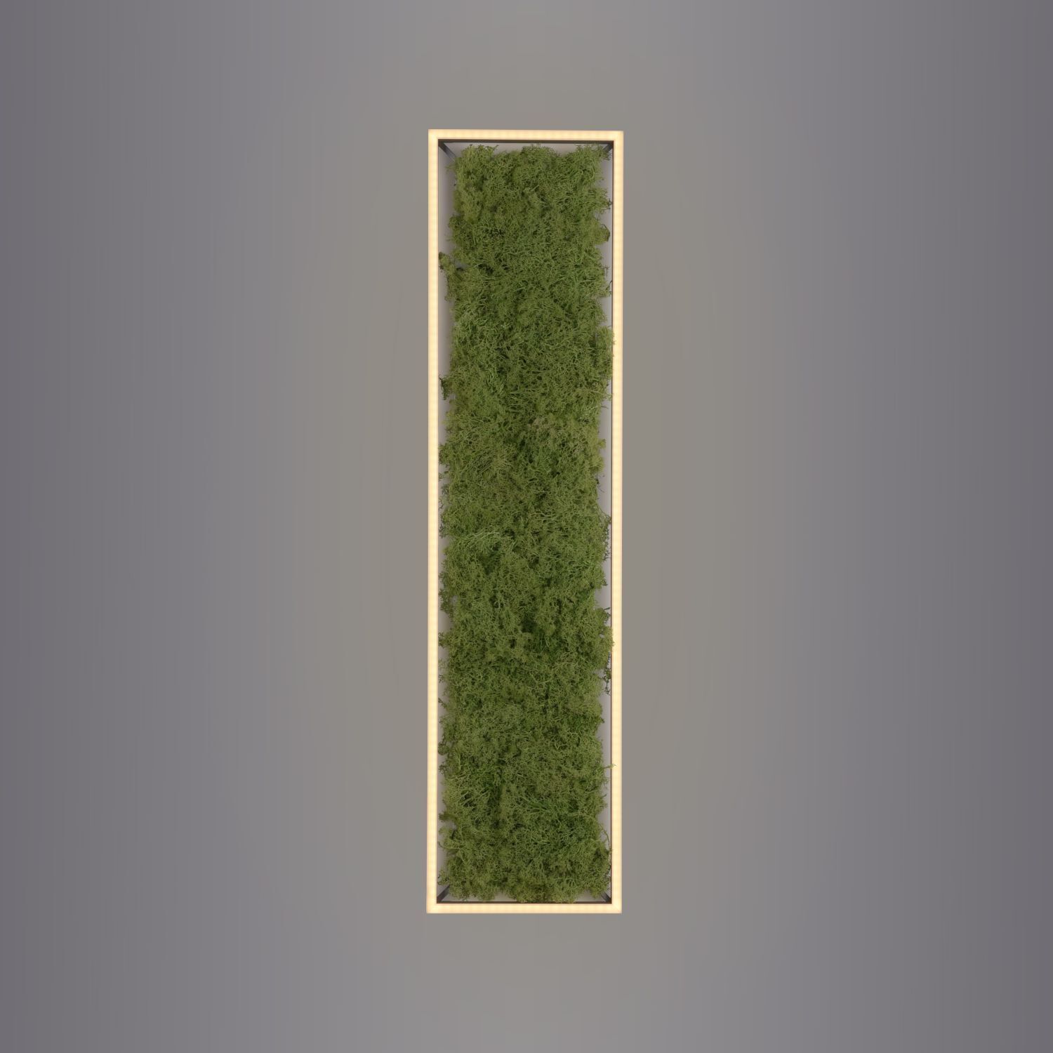 LED Deckenleuchte Moos L:100 cm 3000 K 3550 lm aus Moos Gras, Moos, Bewuchs, Dekoration für Zuhause, Land