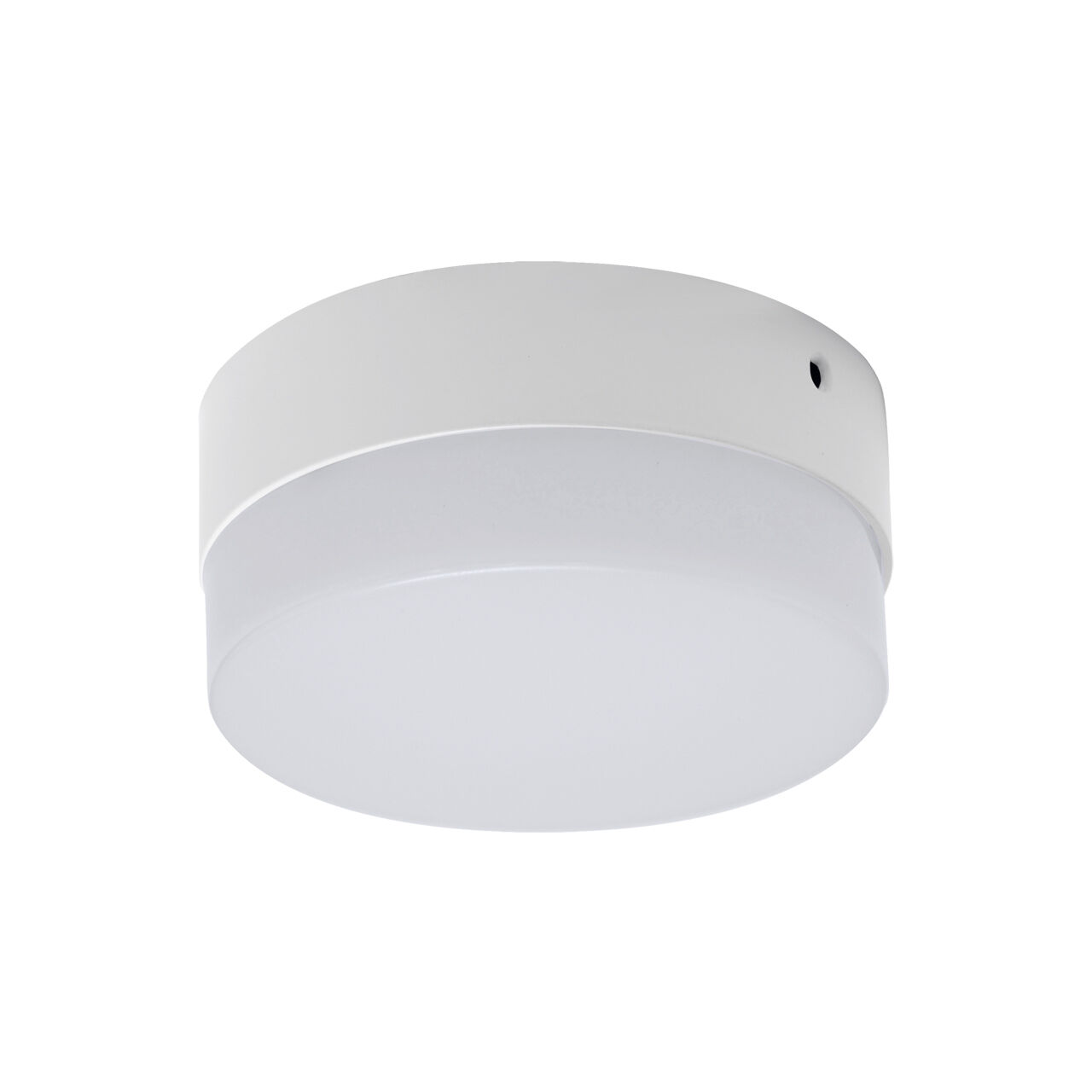 Lampe de plafonnier LED ronde D : 12 cm petit blanc 4000 K