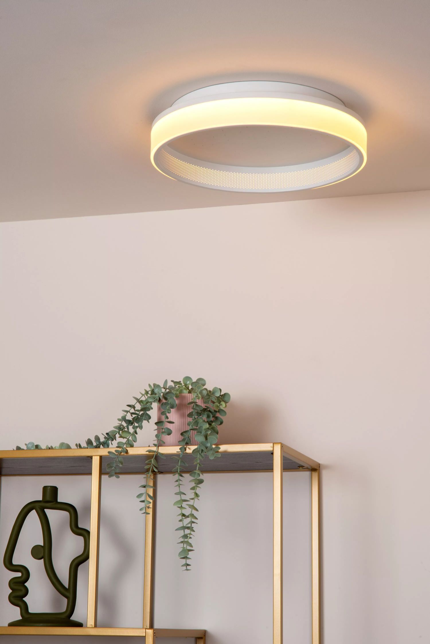 LED Deckenlampe Sternenhimmel 2500-3000 K Fernbedienung Deckenleuchte, Pflanze