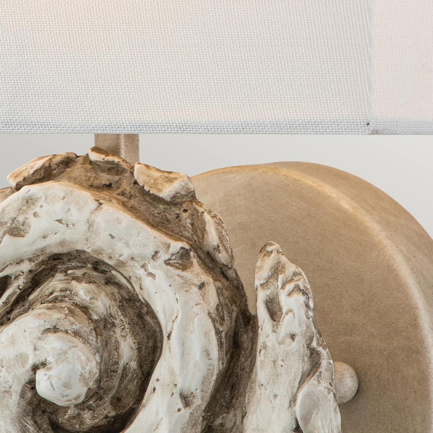 Lampe, Wirbellose, Leben im Meer, Muschel, Holz