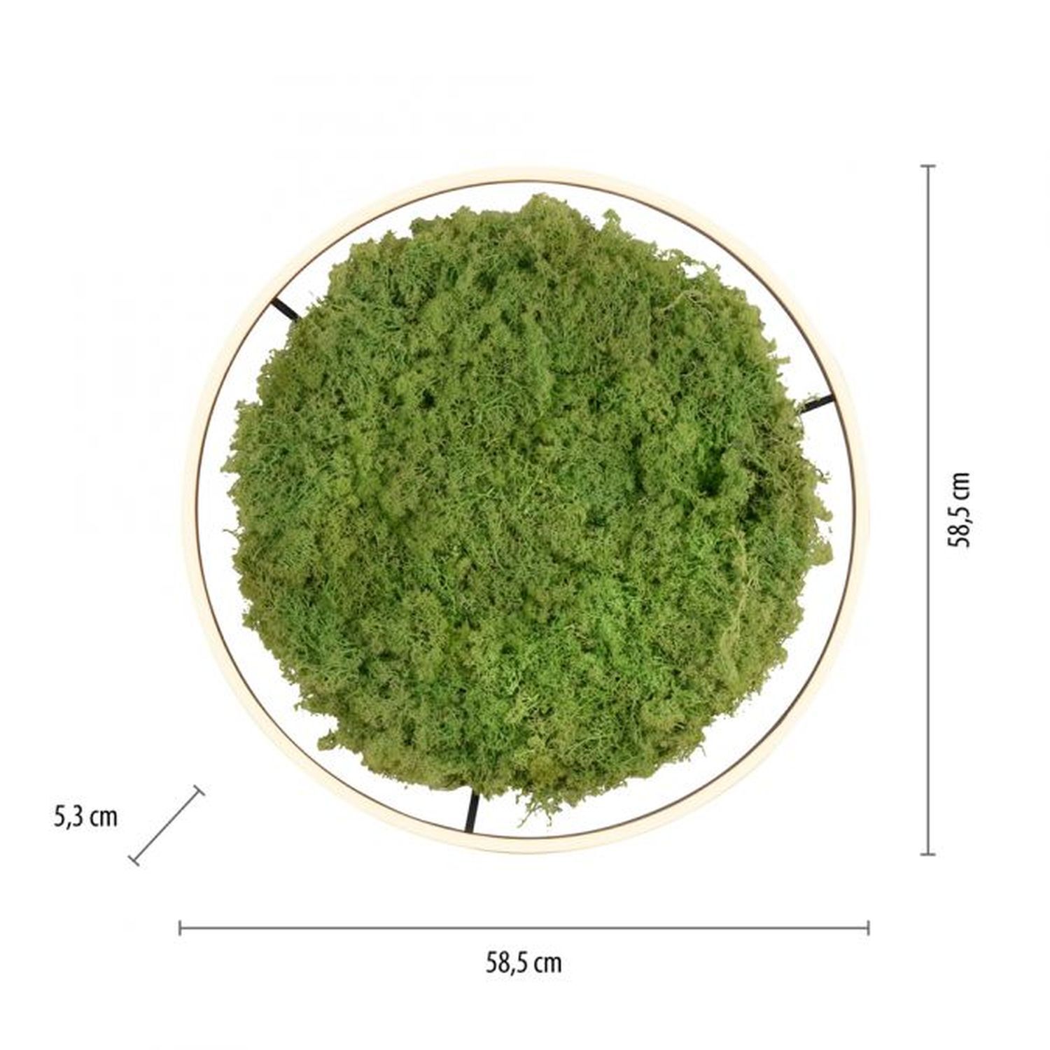 Dimmbare LED Deckenlampe Moos Schwarz 3000 K 28 W Moos, Pflanze, Puder, Teller, Vegetation