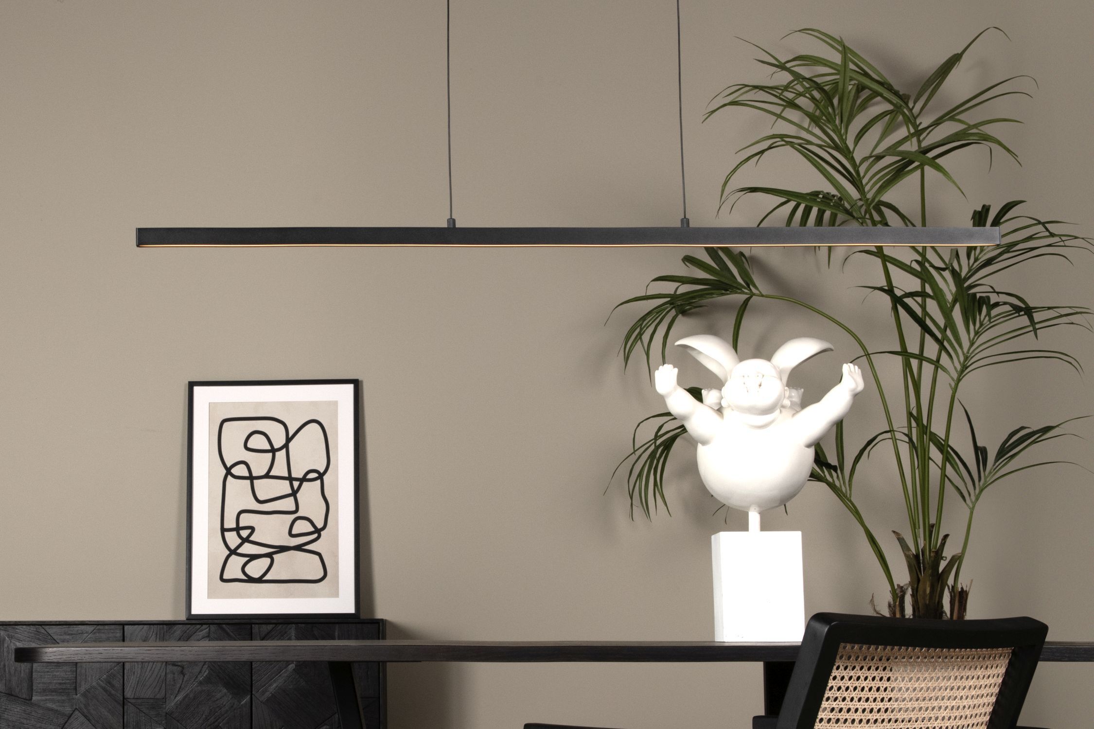 Pflanze, Pflanze im Topf, Mobiliar, Tabelle, Innenarchitektur