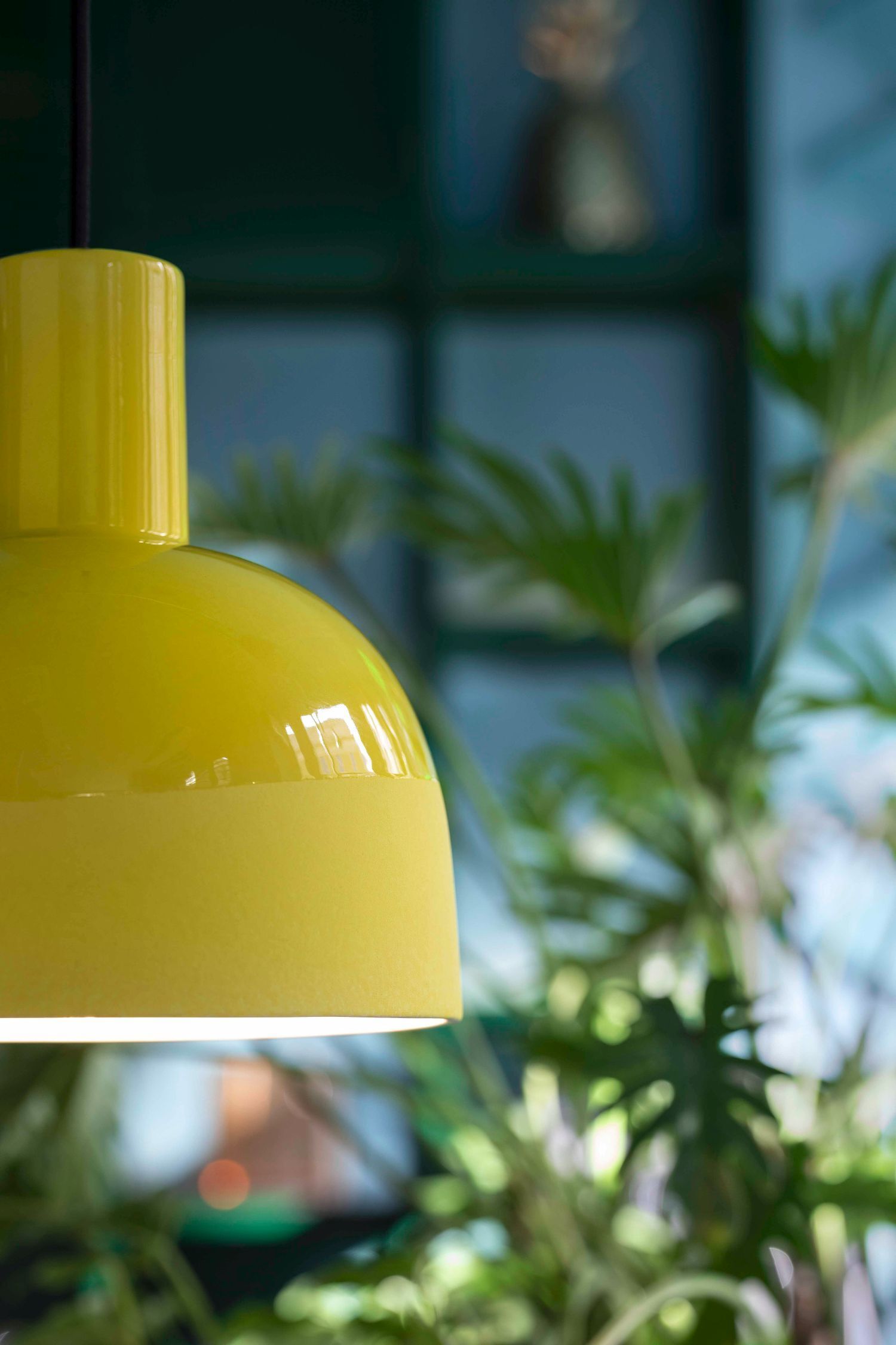 Lampe, Beleuchtung, Lampenschirm