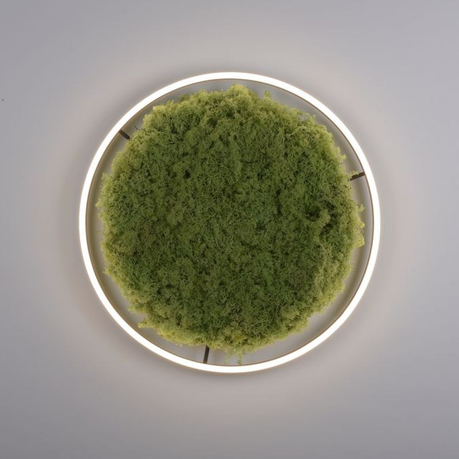 Dimmbare LED Deckenlampe Moos Schwarz 3000 K 28 W Moos, Pflanze, Puder