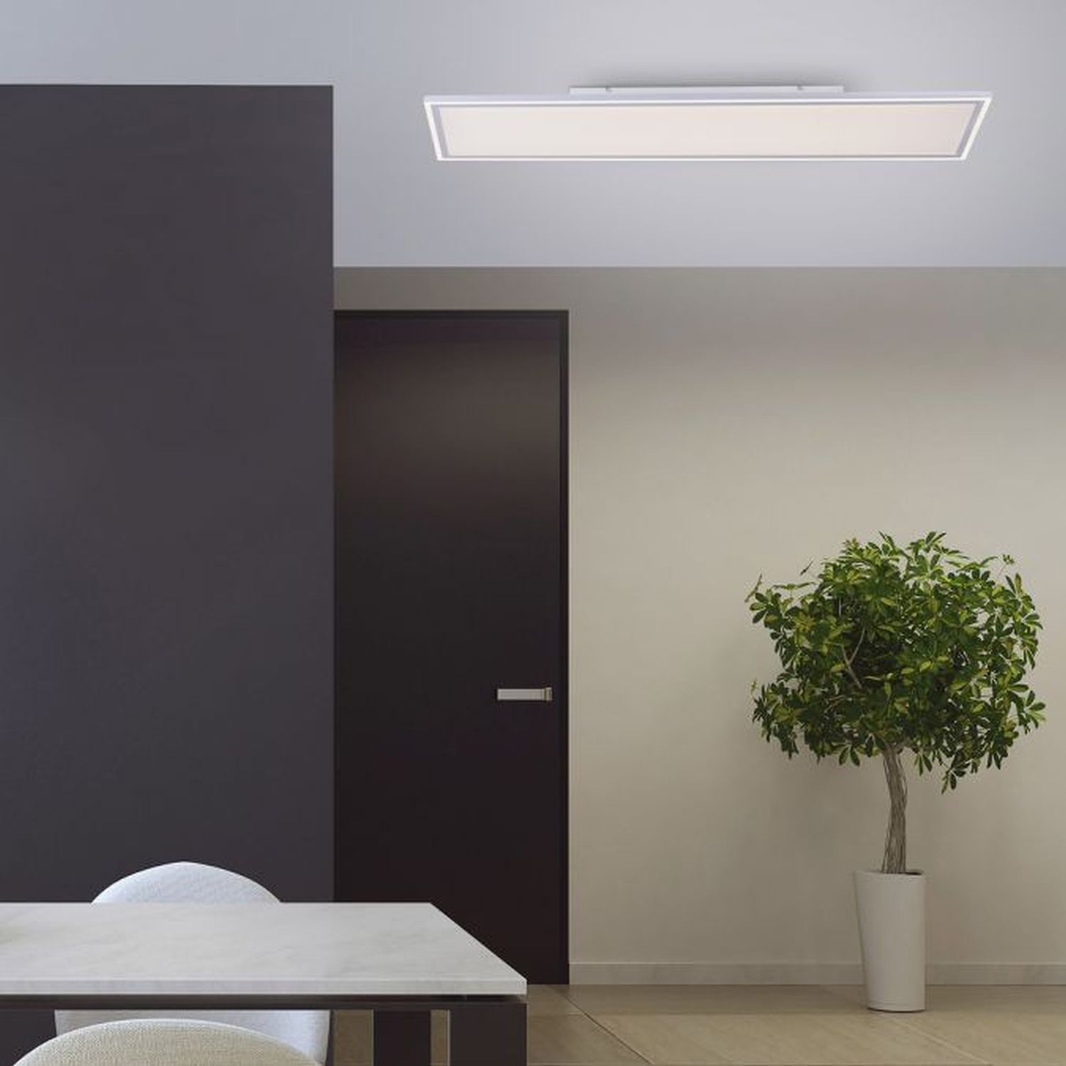Pflanze, Pflanze im Topf, Drinnen, Innenarchitektur, Deckenleuchte