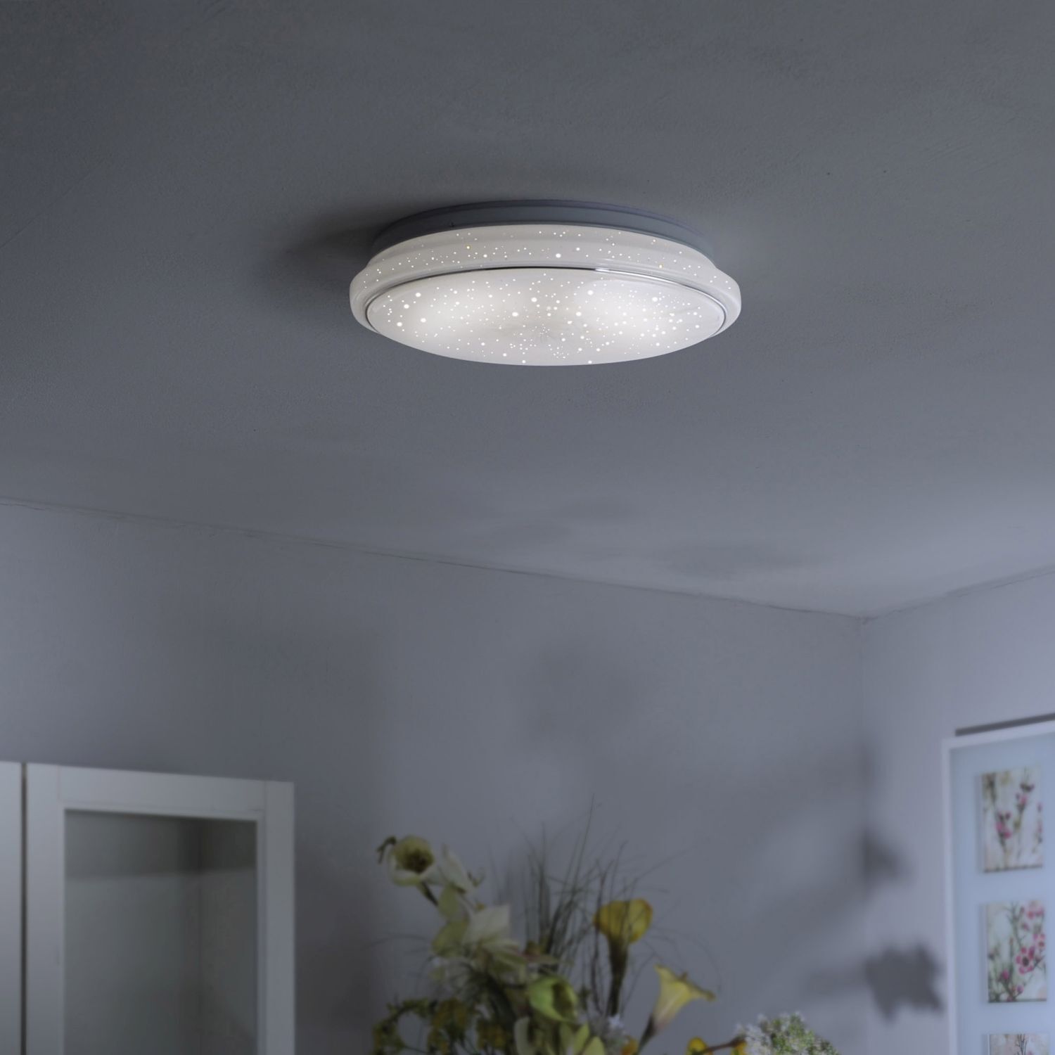 Deckenleuchte, Leuchte