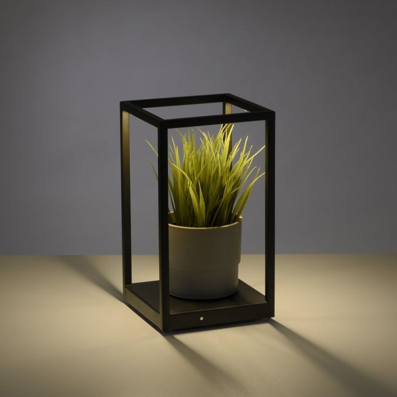 Topfpflanze, Krug, Pflanzgefäß, Töpferei, Vase