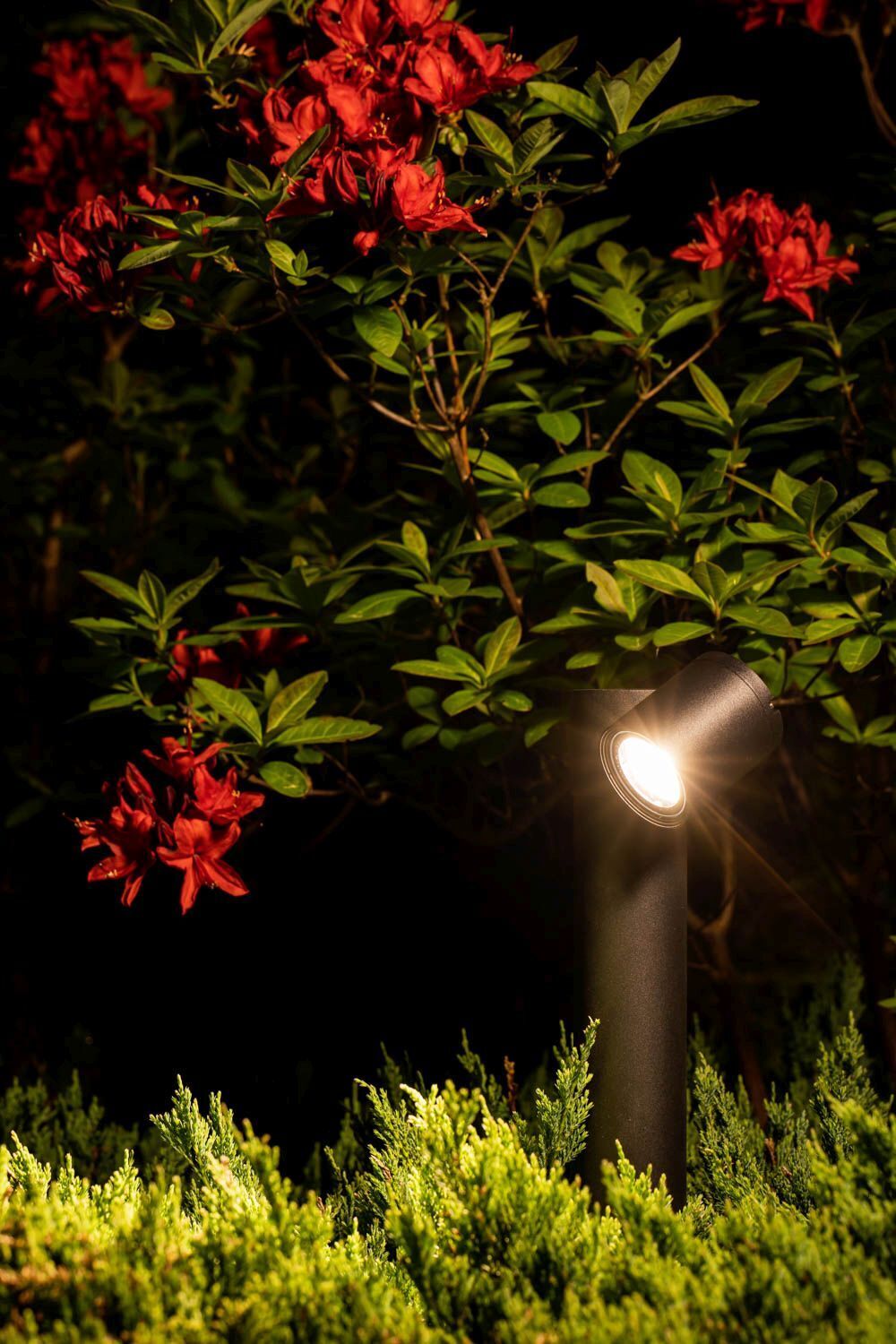 Lampe d'allée IP54 noire GU10 55 cm verre aluminium orientable