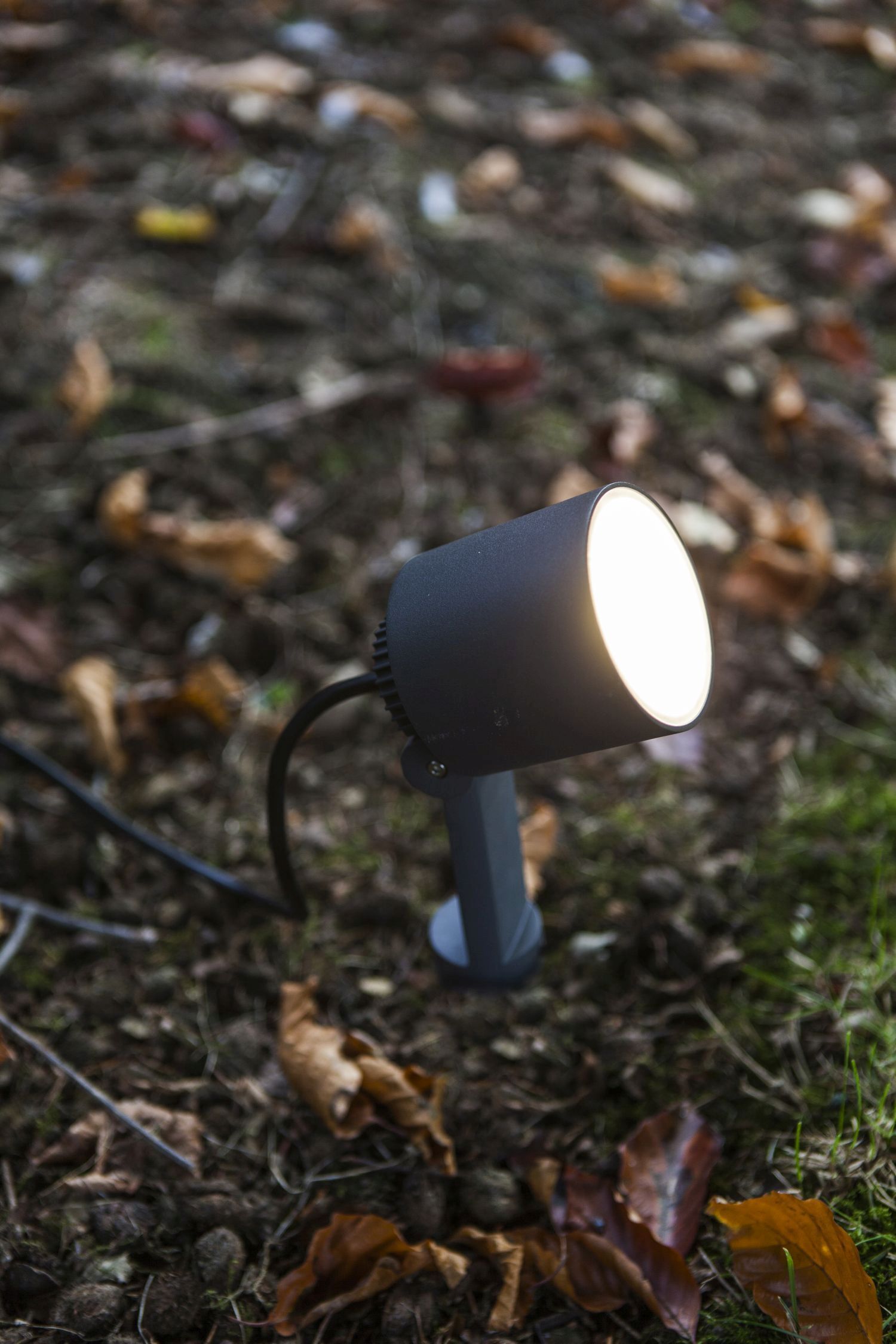 Beleuchtung, Spotlight, Lampe