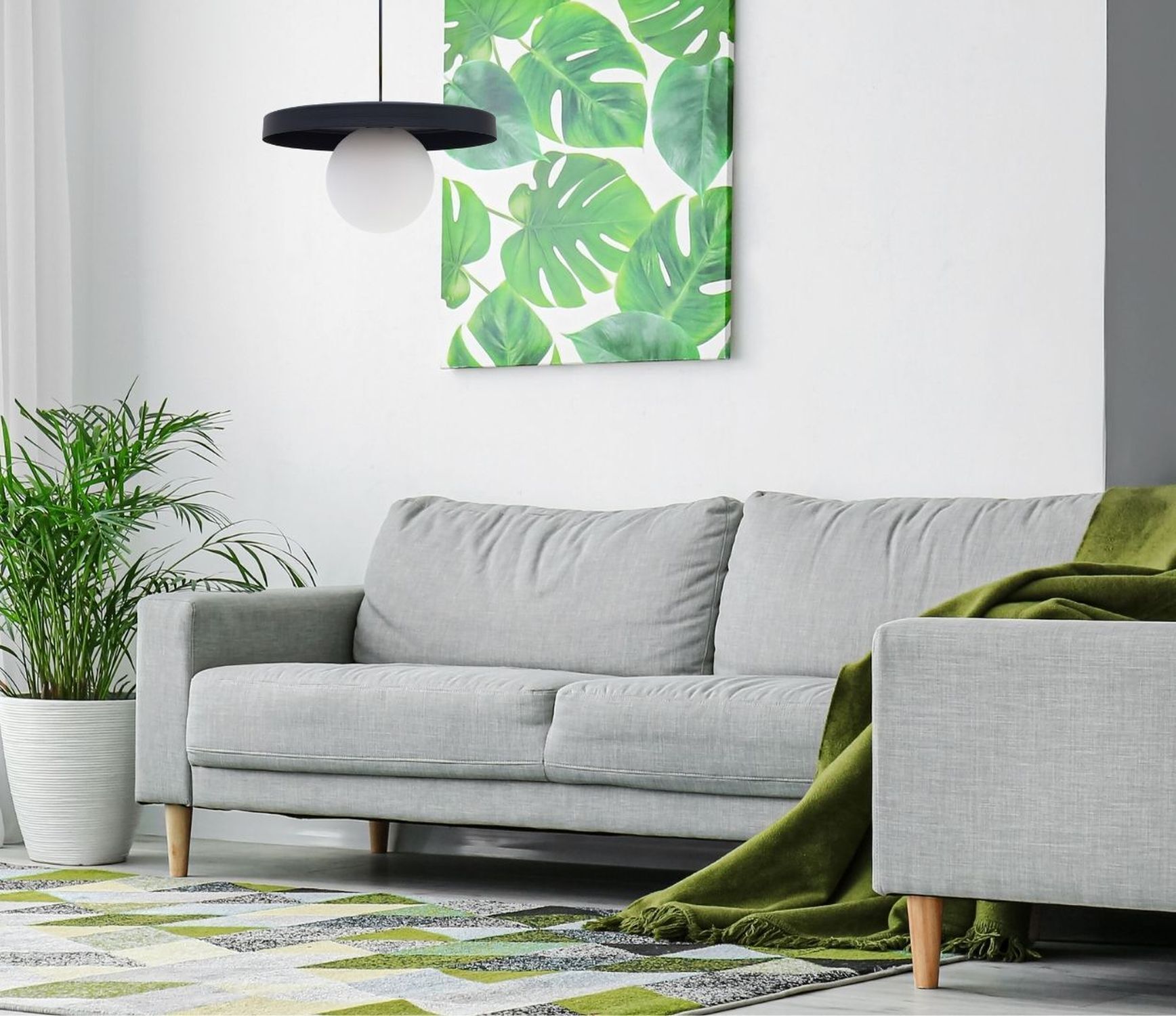 sofa, wohnzimmer, pflanze, wandbild, teppich