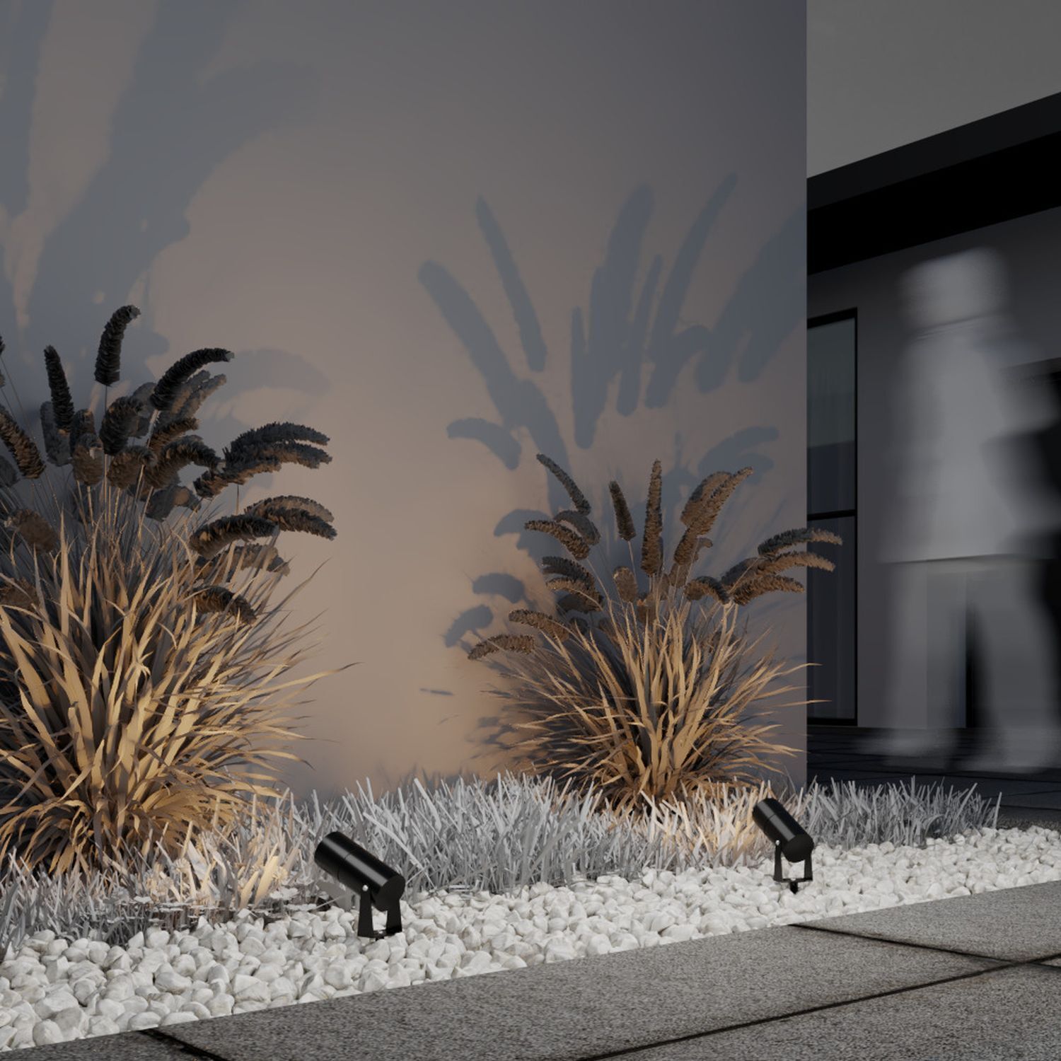 Pflanze, Schilf, Gras, Innenarchitektur, Baum