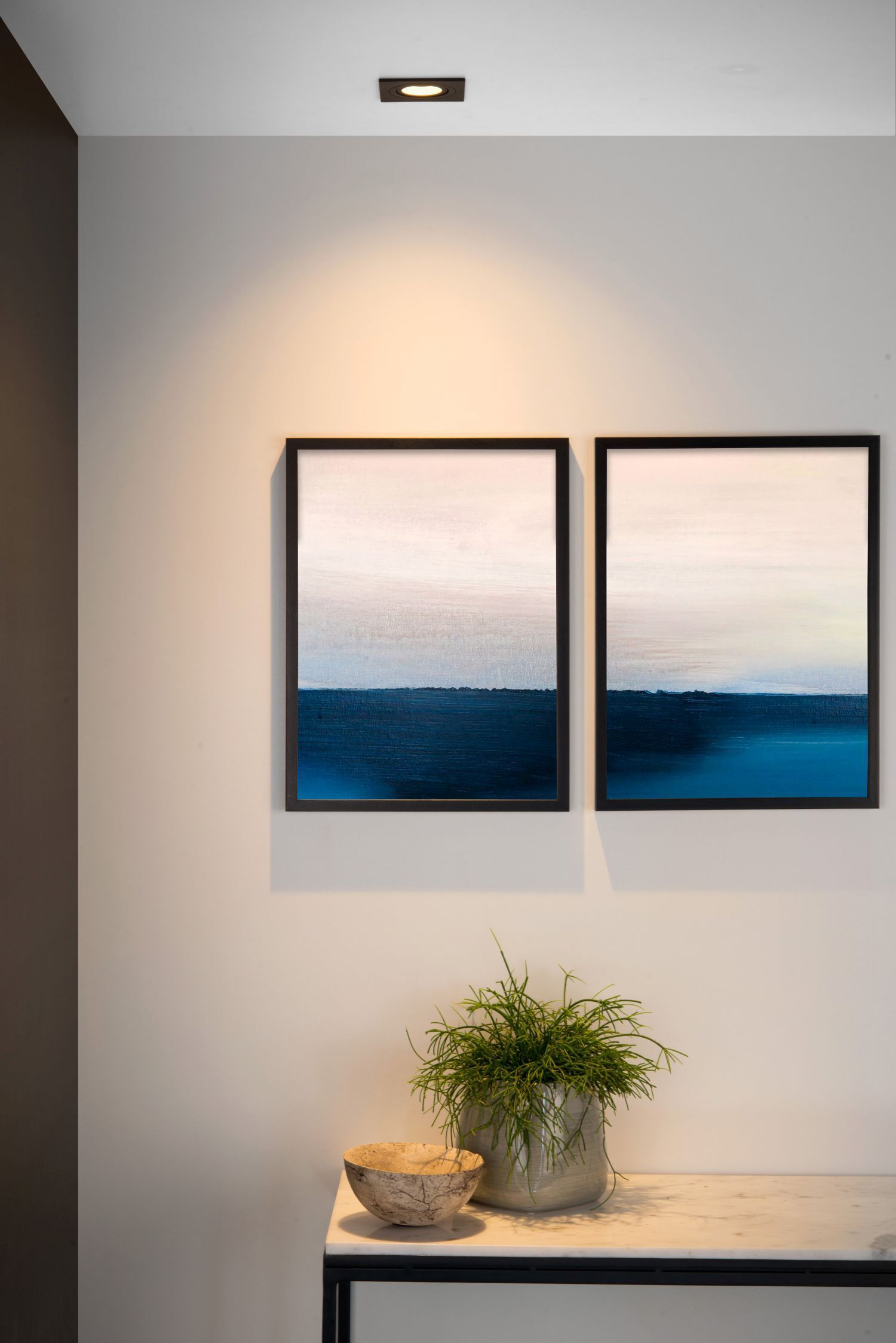 Pflanze, Kunst, Malerei, Innenarchitektur, Fenster