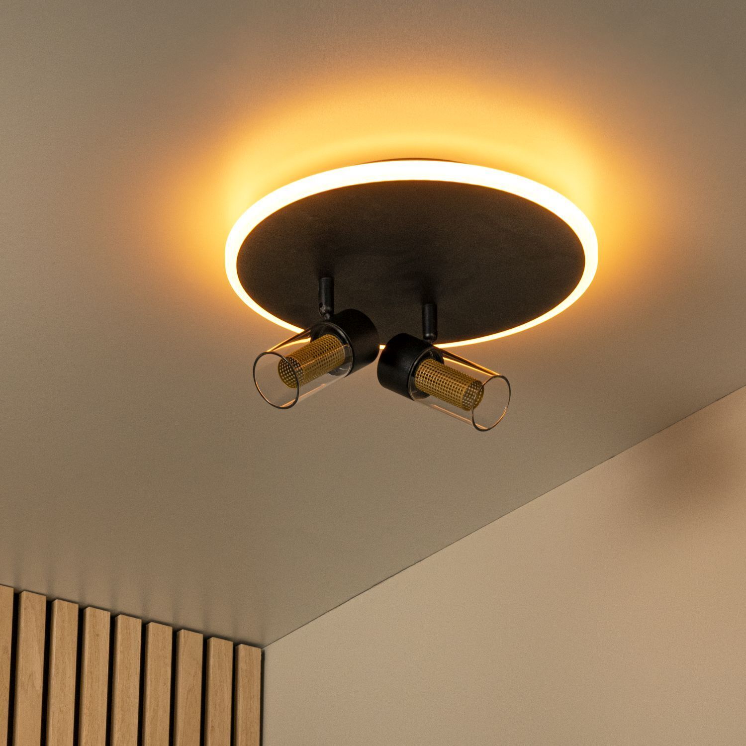 deckenleuchte, runde lampe, hängelampe, LED, metall