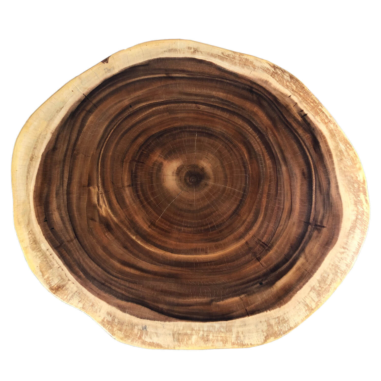 Table basse Rondelle d'arbre Bois d'acacia Métal Travail manuel Holz, Pflanze, Baum, Schüssel