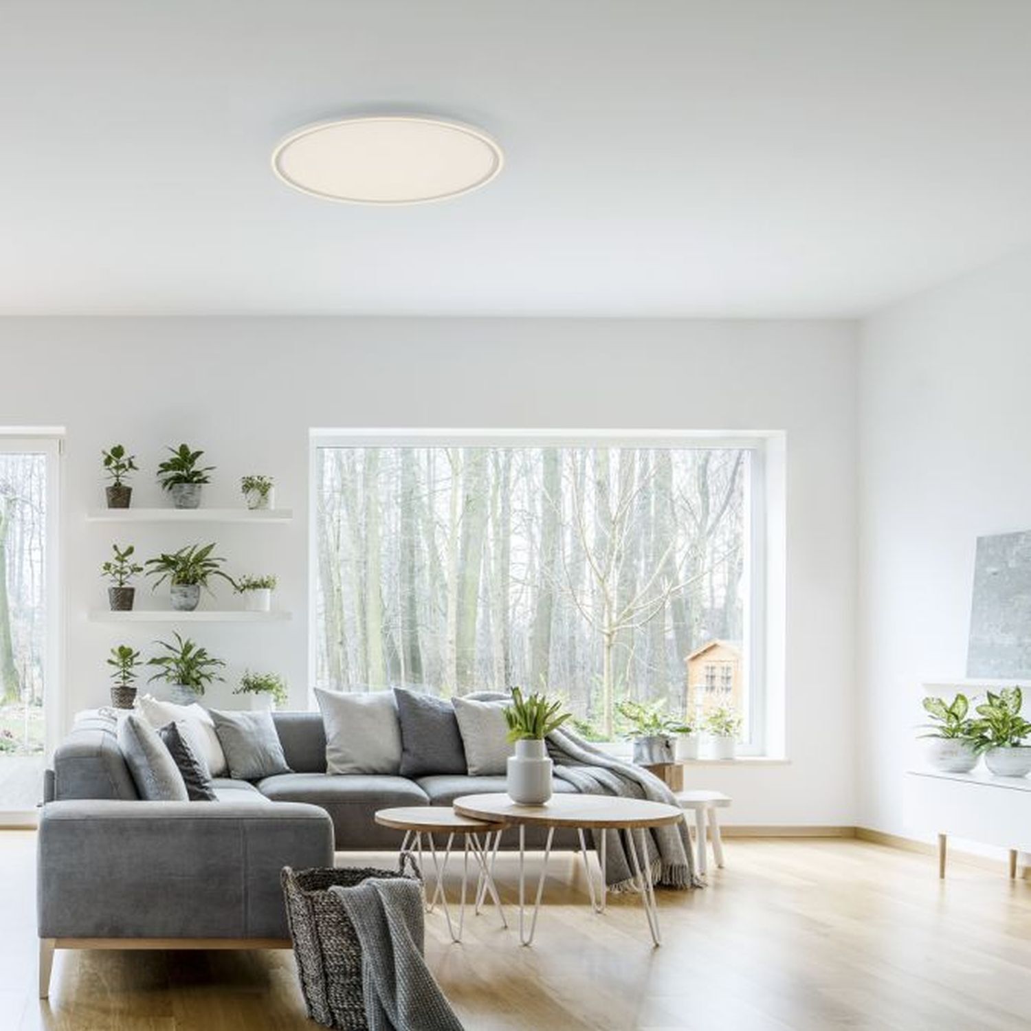 721f8bd0cf7848f8a622b39ca5c72ab2 wohnzimmer, sofa, pflanzen, tisch, große fenster