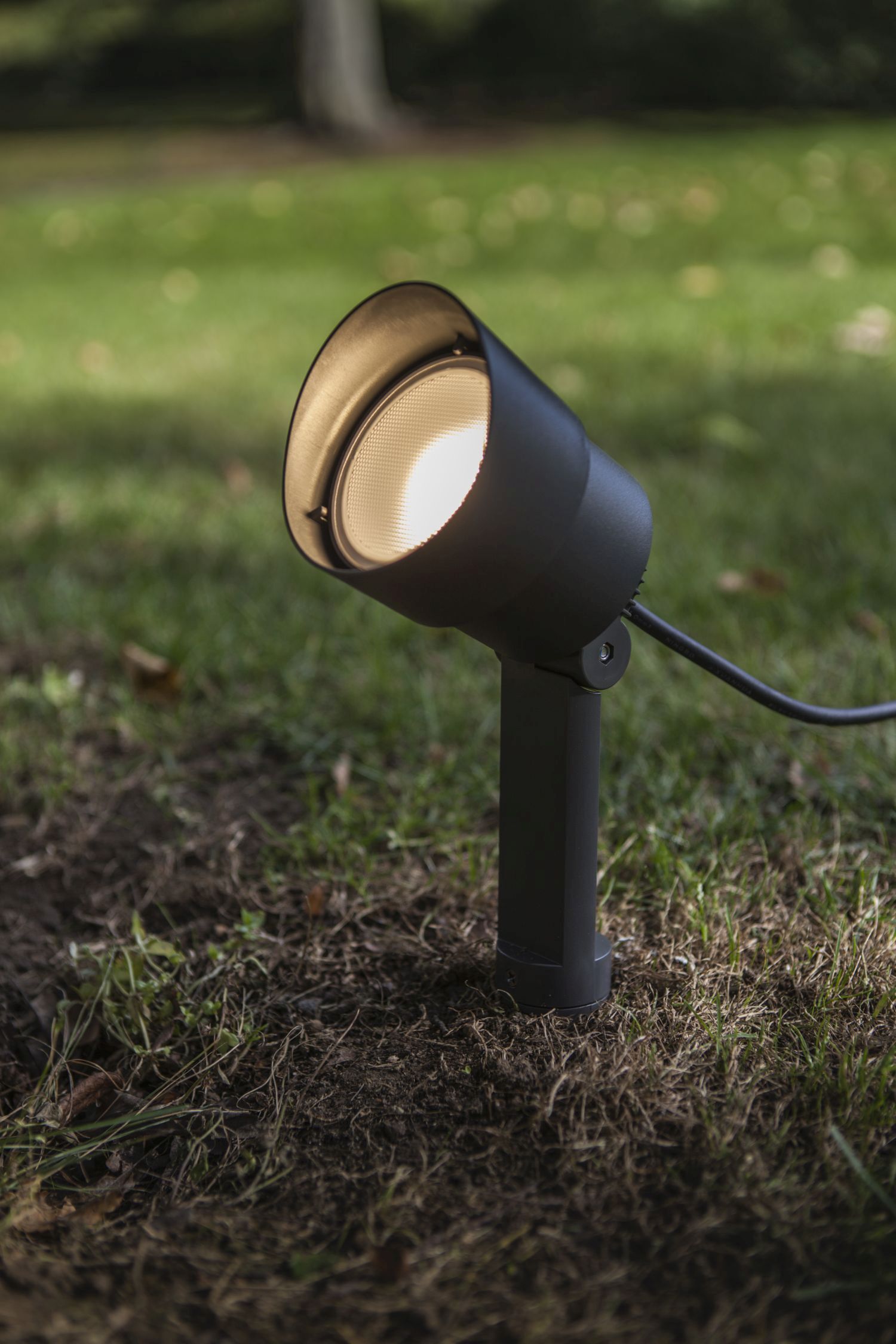 Beleuchtung, Spotlight, Lampe