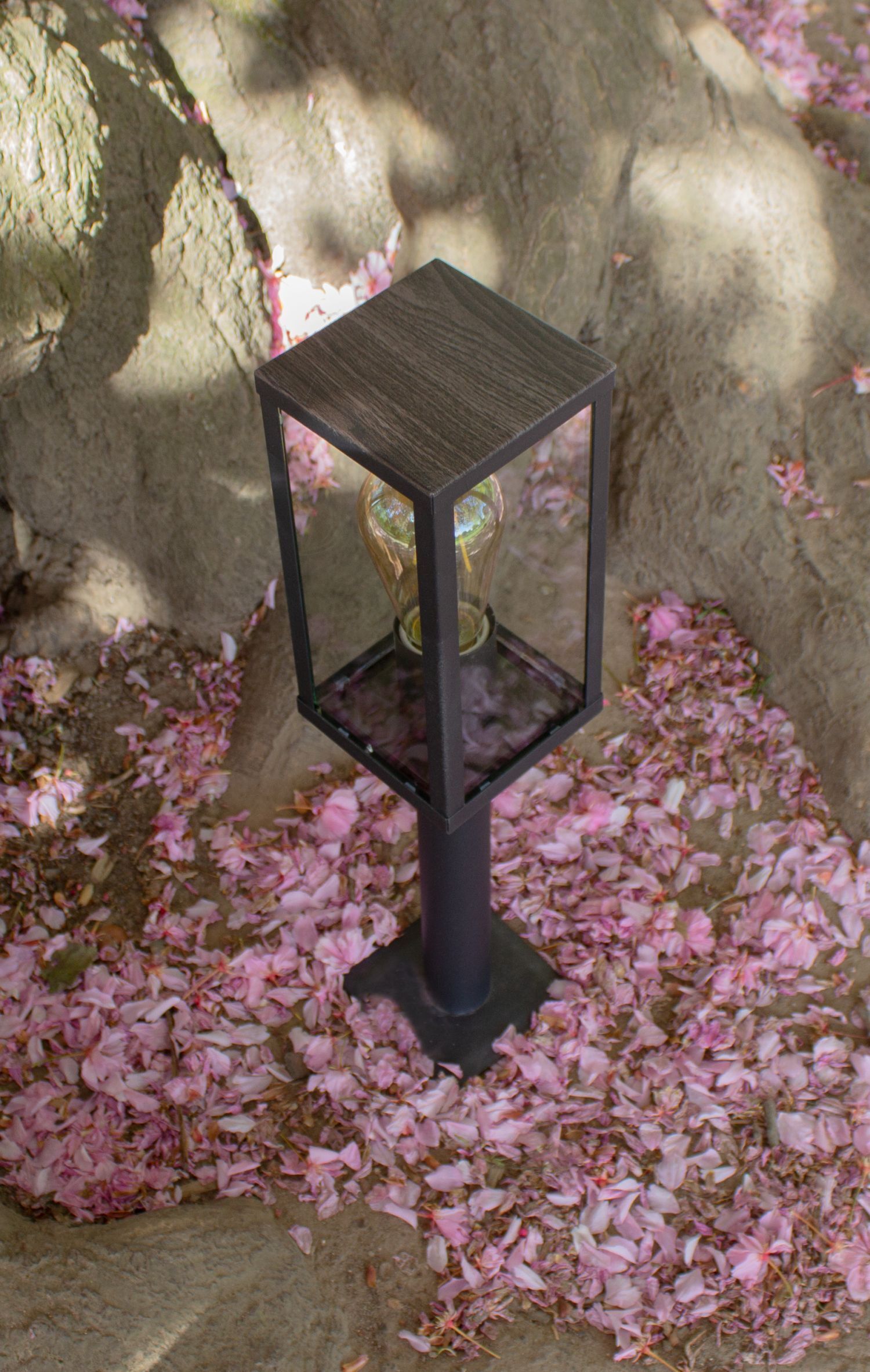 Lampe