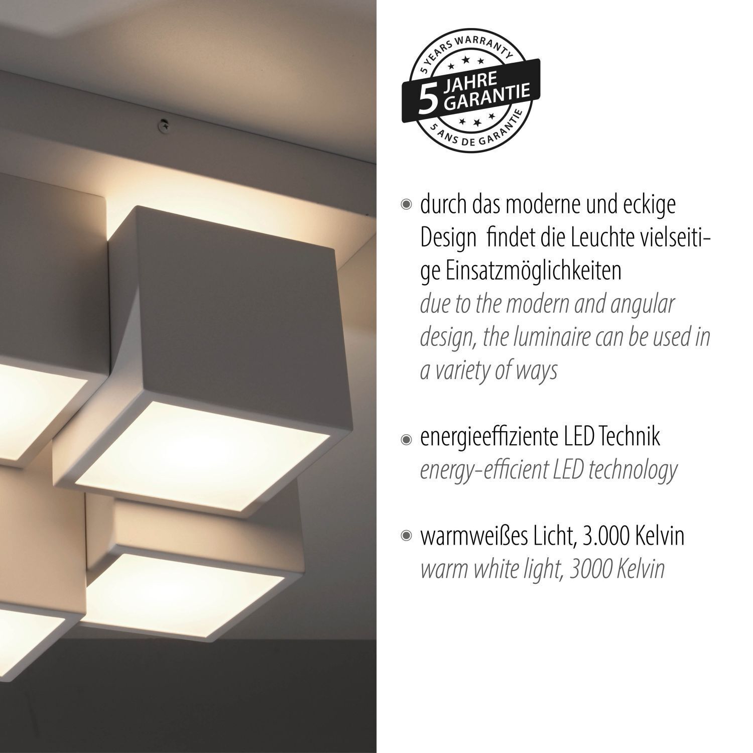 Deckenleuchte, Leuchte