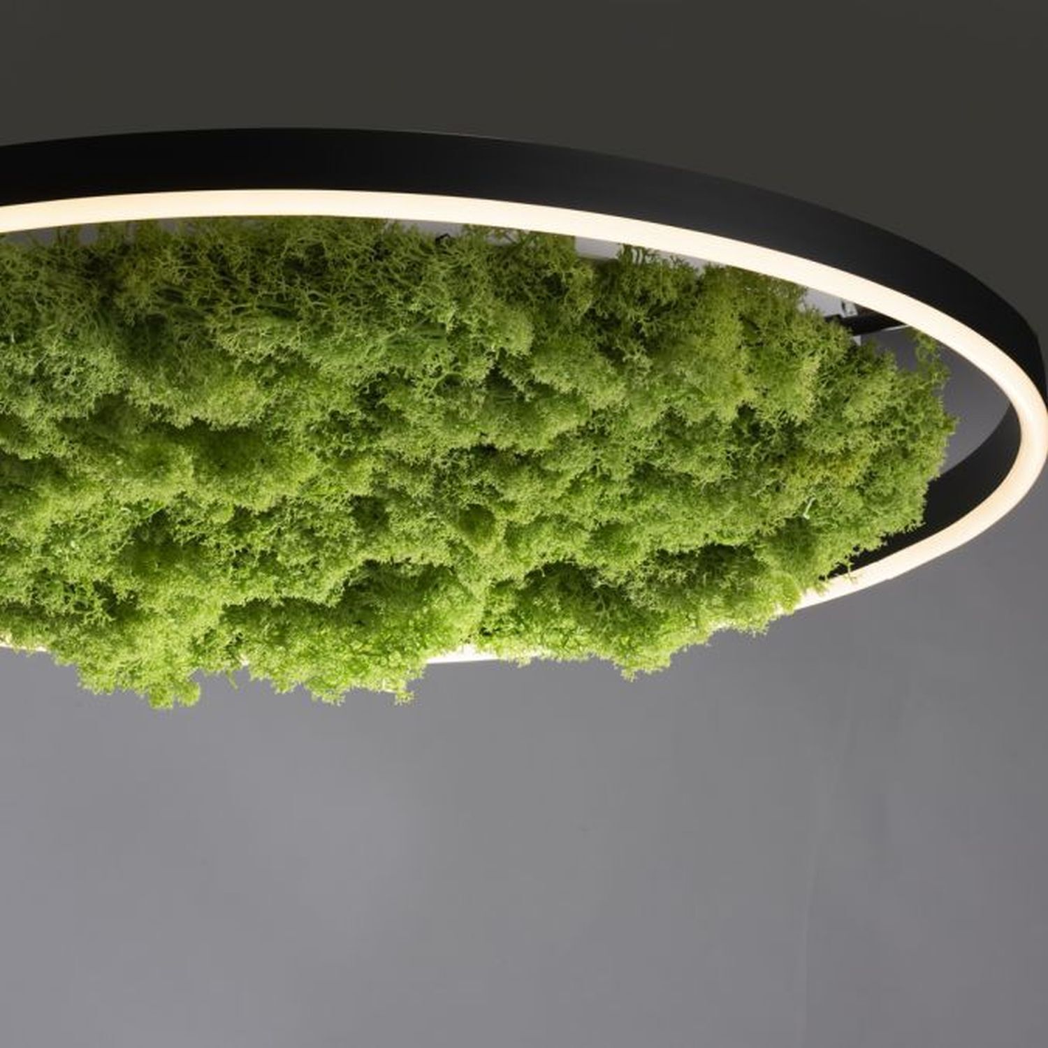 Lampe de plafonnier LED à intensité variable Mousse Noir 3000 K 28 W