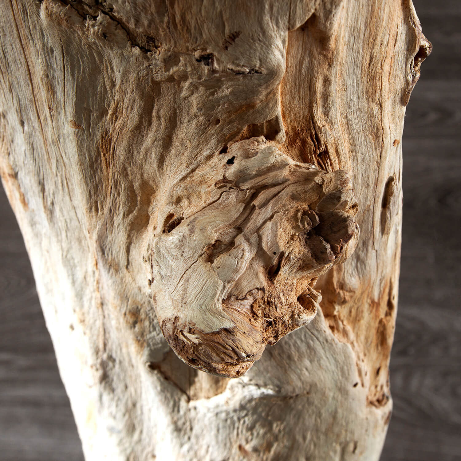 Stehlampe 175cm Modern individuell Treibholz Holz, Pflanze, Baum, Baumstamm, Treibholz