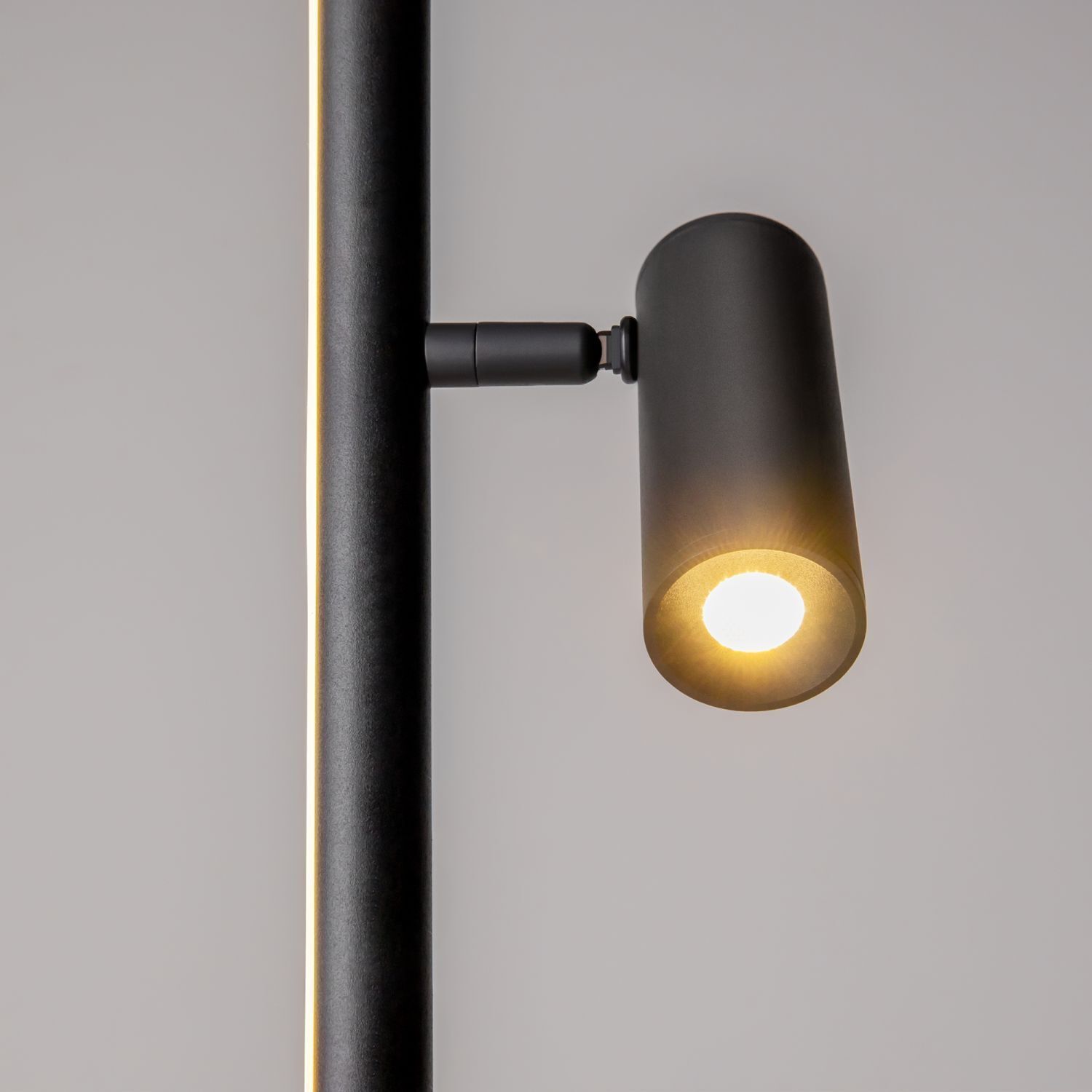 Stehlampe, Wandleuchte, Spotlight, Schwarz, LED