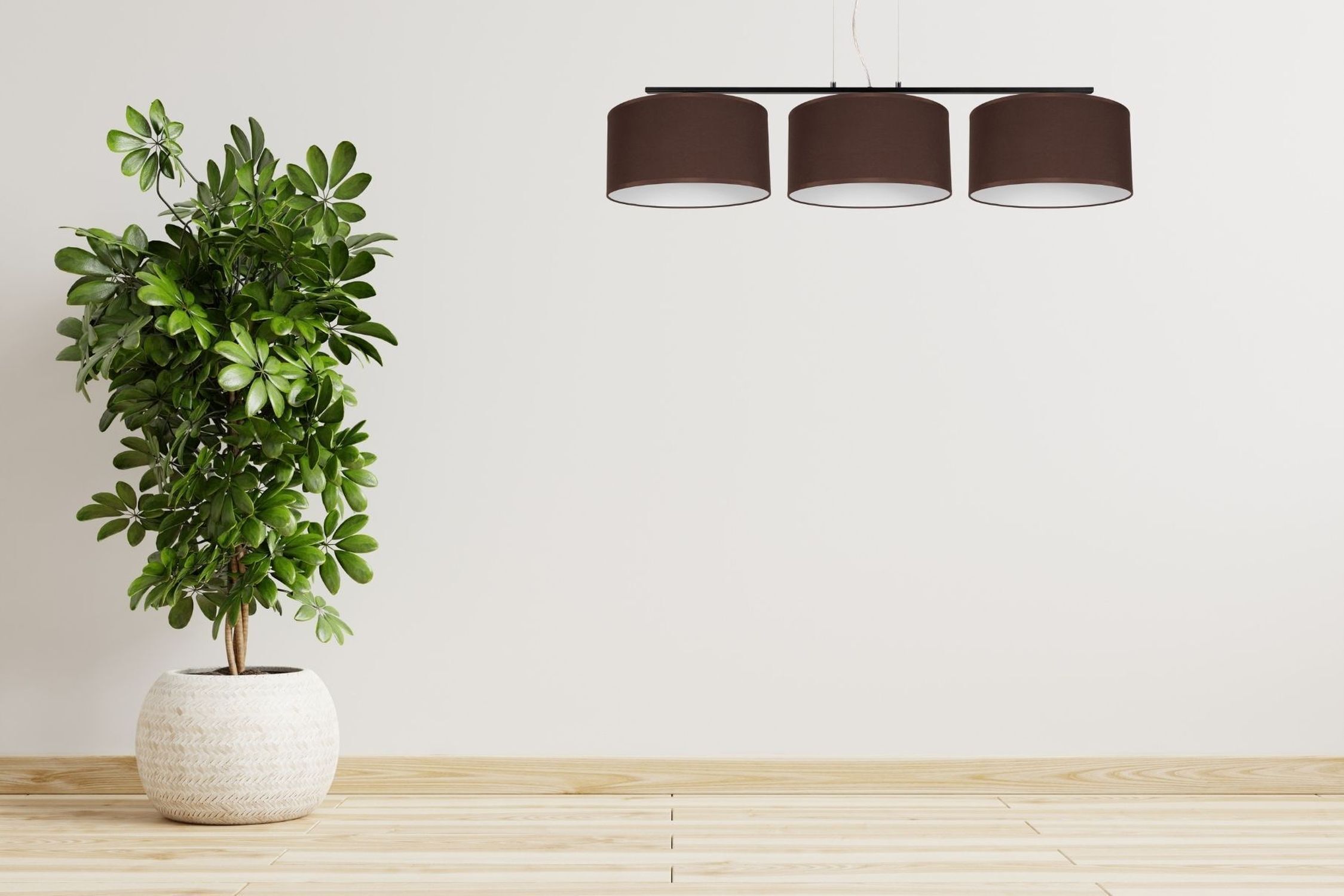 Lampe, Pflanze, Pflanze im Topf