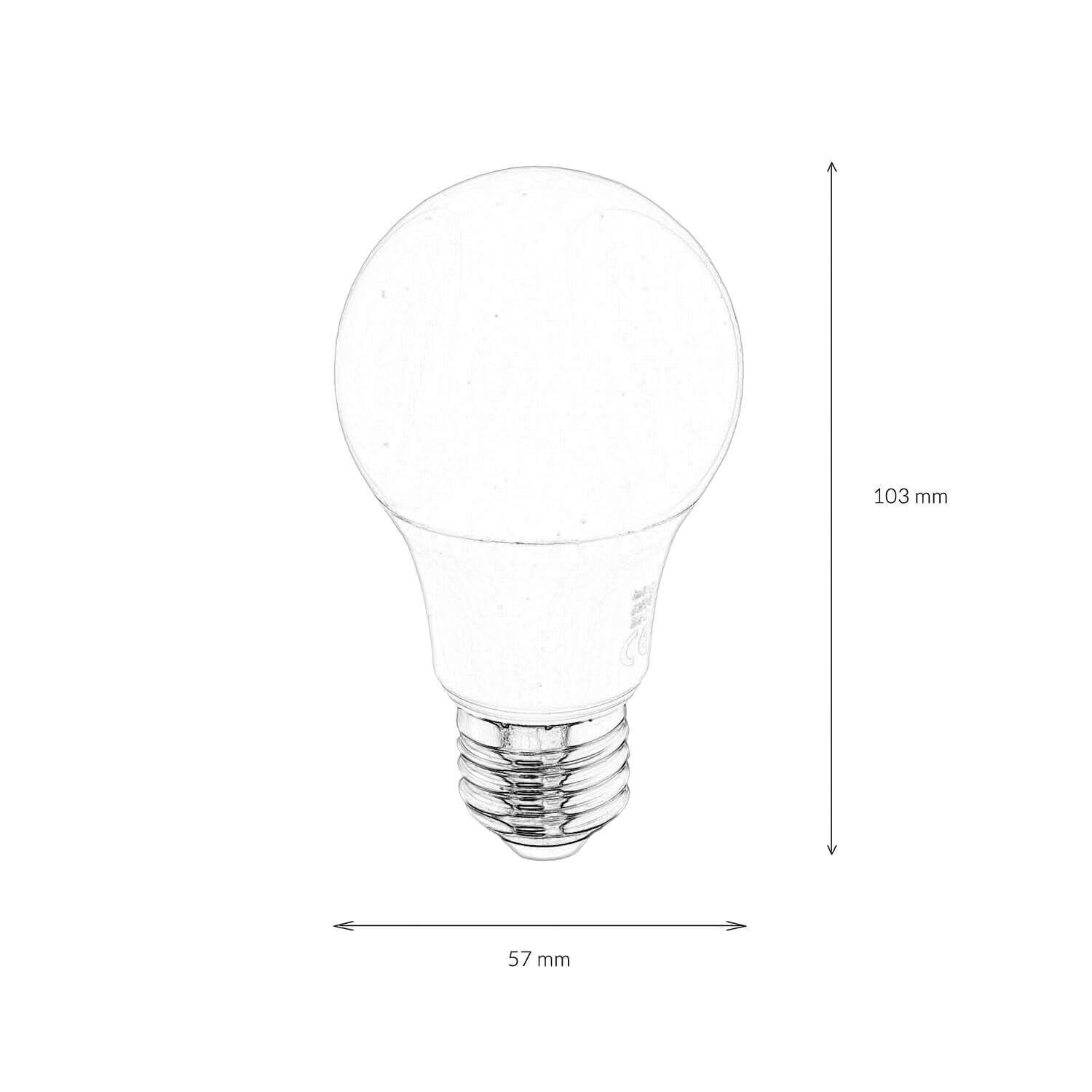 LED Leuchtmittel E27 10,5 Watt 2700 K 1055 lm hell - LM10055