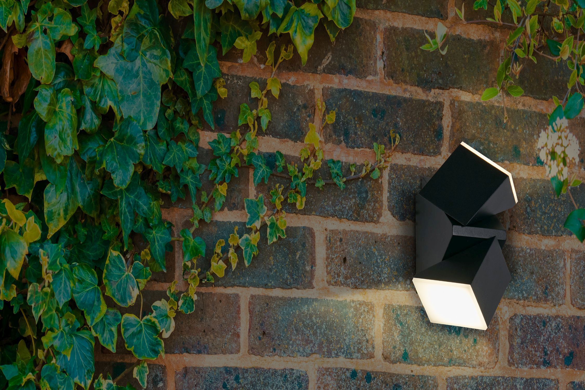 außenseite, pflanzen, lampe, mauer