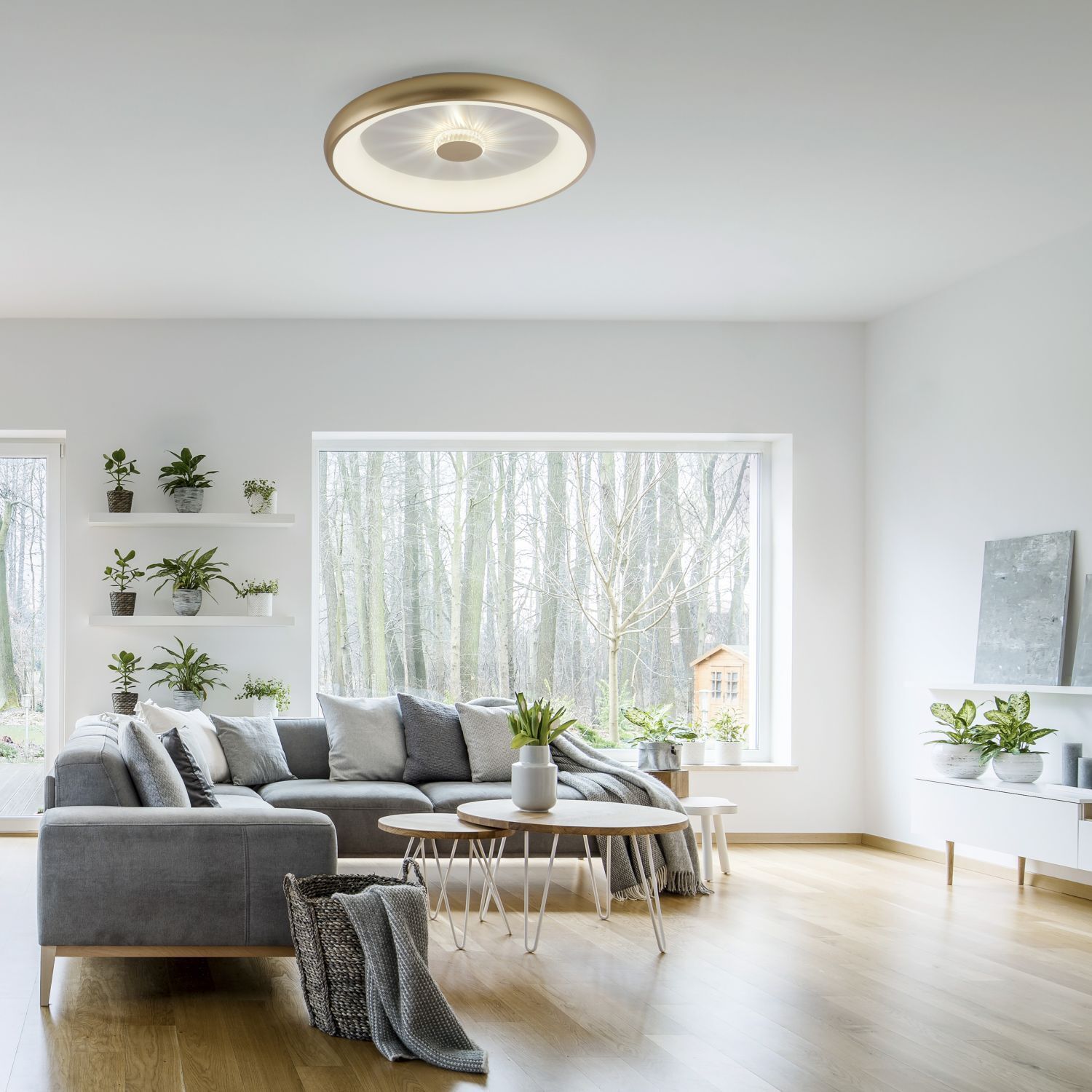 Plafonnier LED à intensité variable 2700-5000 K Ø61,5 cm laiton Dekoration für Zuhause, Pflanze, Drinnen, Innenarchitektur, Wohnzimmer
