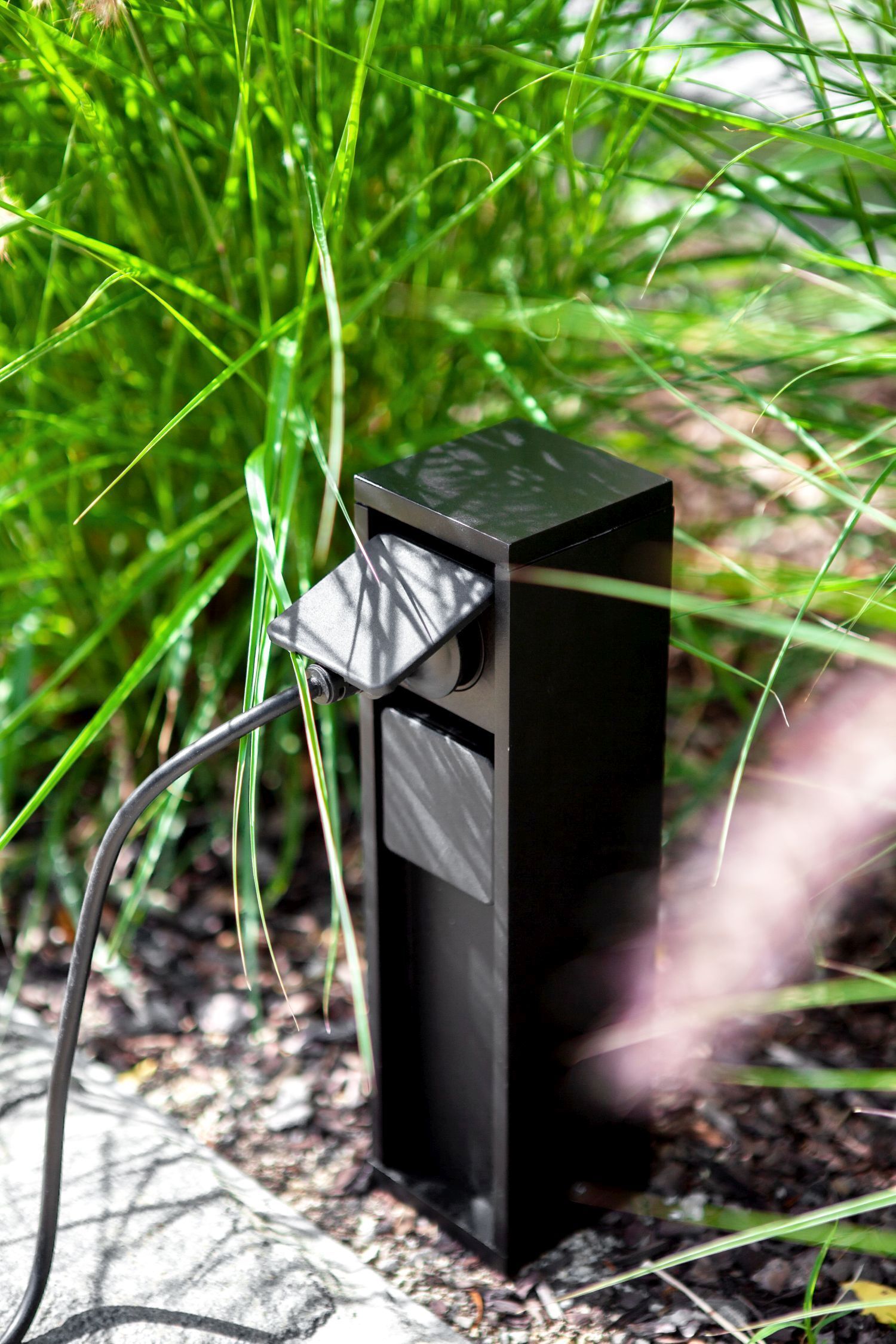 Gras, Pflanze, Boden, Postfach