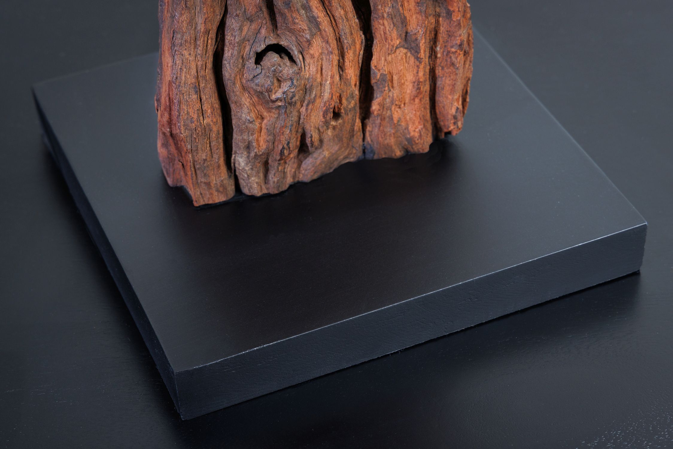 Holzskulptur, Rustikale Basis, Trunk-Tacke, Holzblock, Dekor-Objekt
