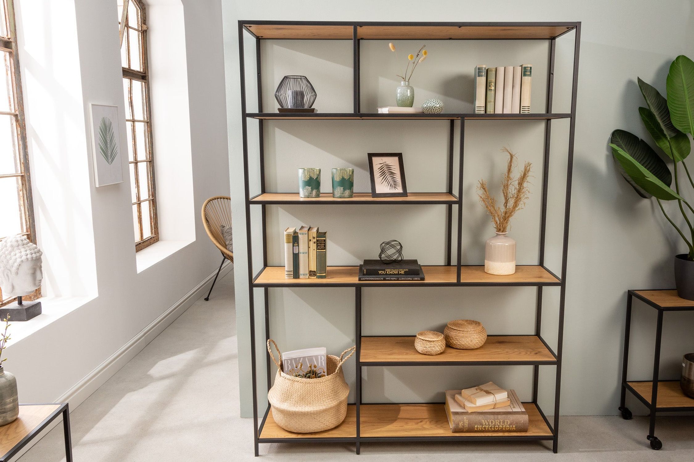 Moebel, Bücherschrank, Pflanze, Regal